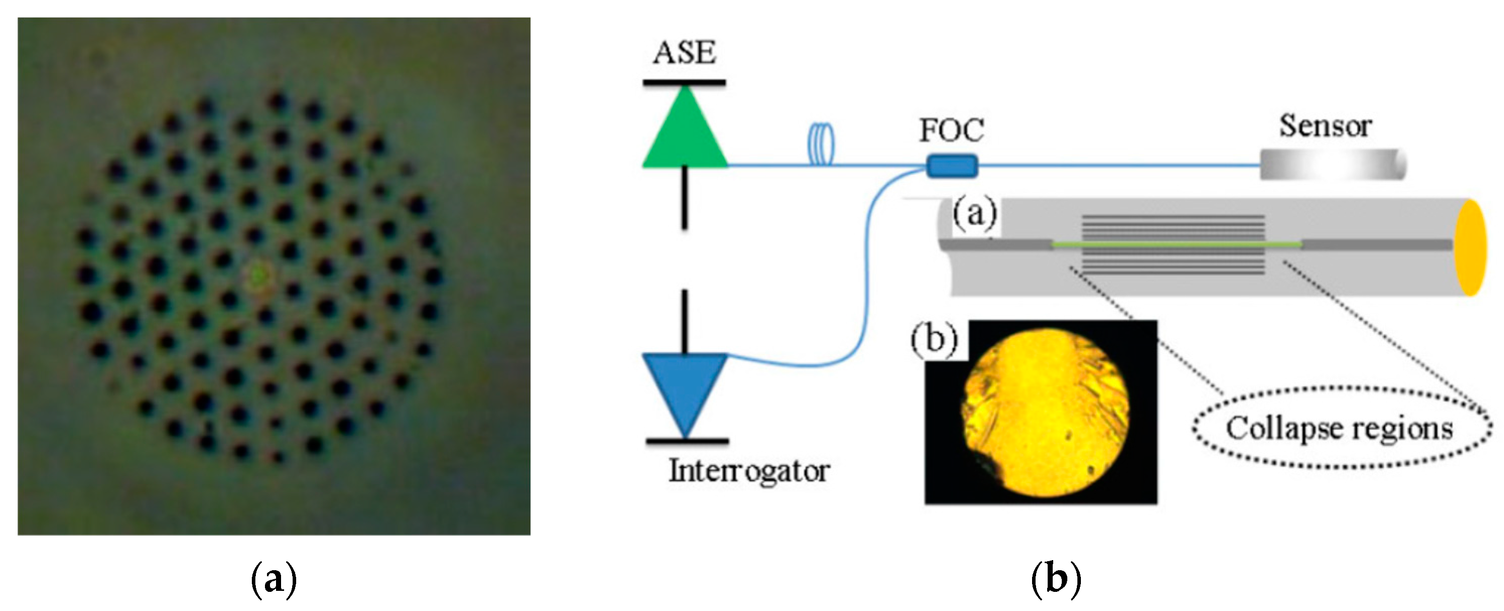 Optics 04 00013 g003 Optics 04 00013 g003