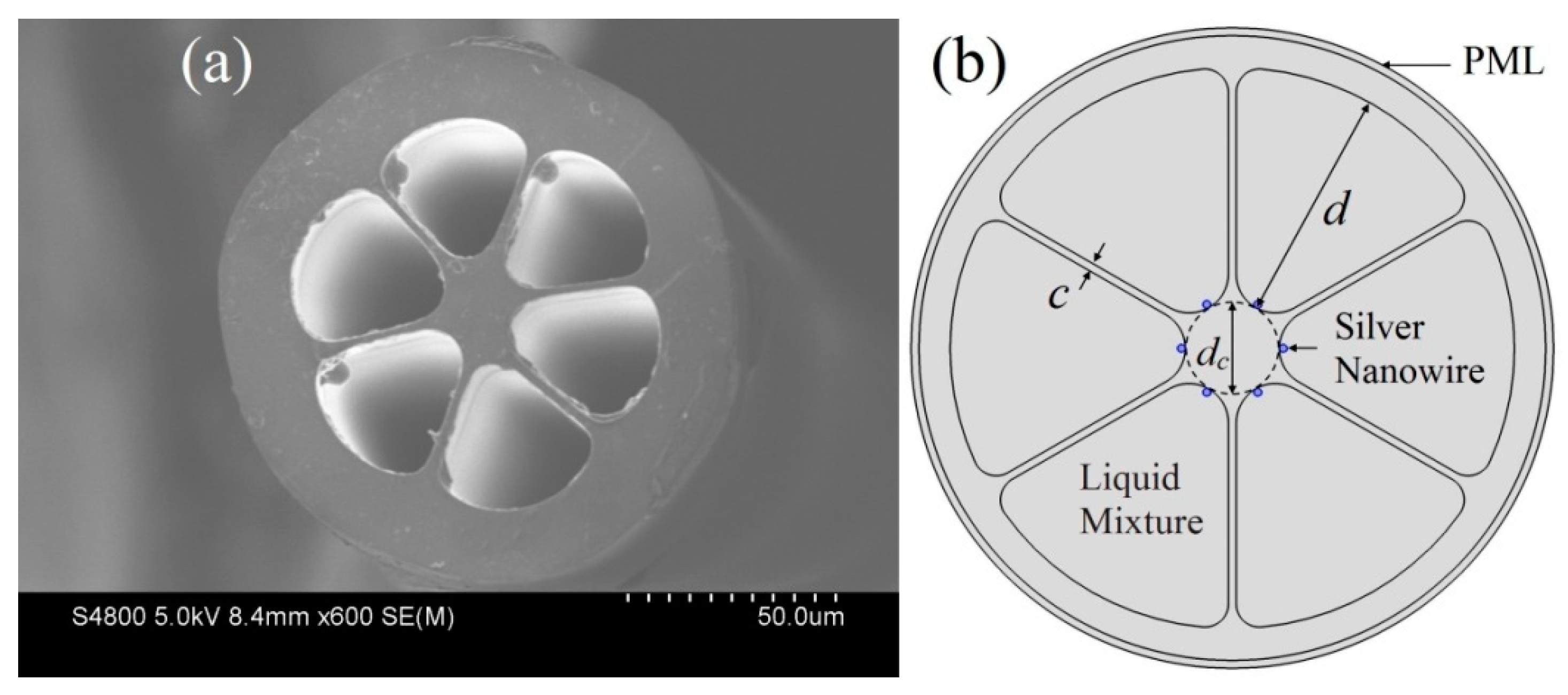Optics 04 00013 g004 Optics 04 00013 g004