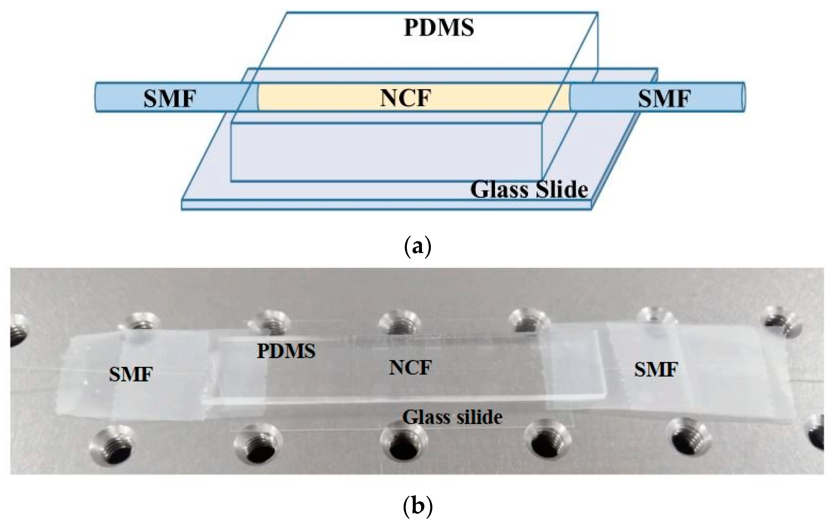 Optics 04 00013 g011 Optics 04 00013 g011