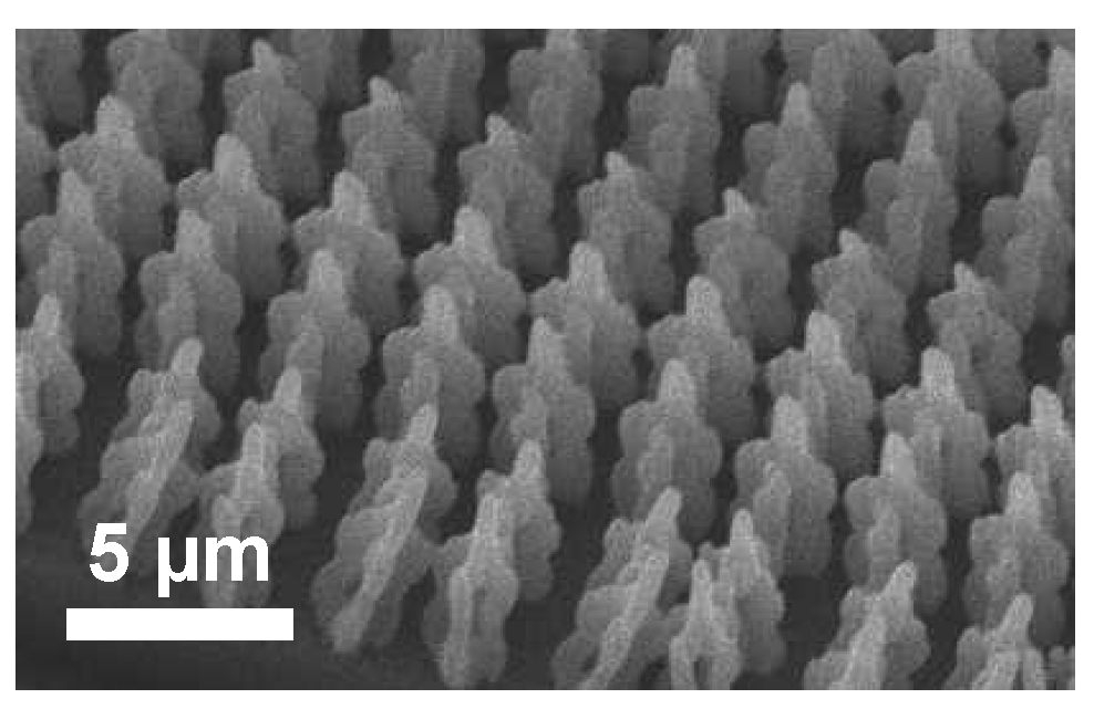 Optics 04 00021 g003 Optics 04 00021 g003