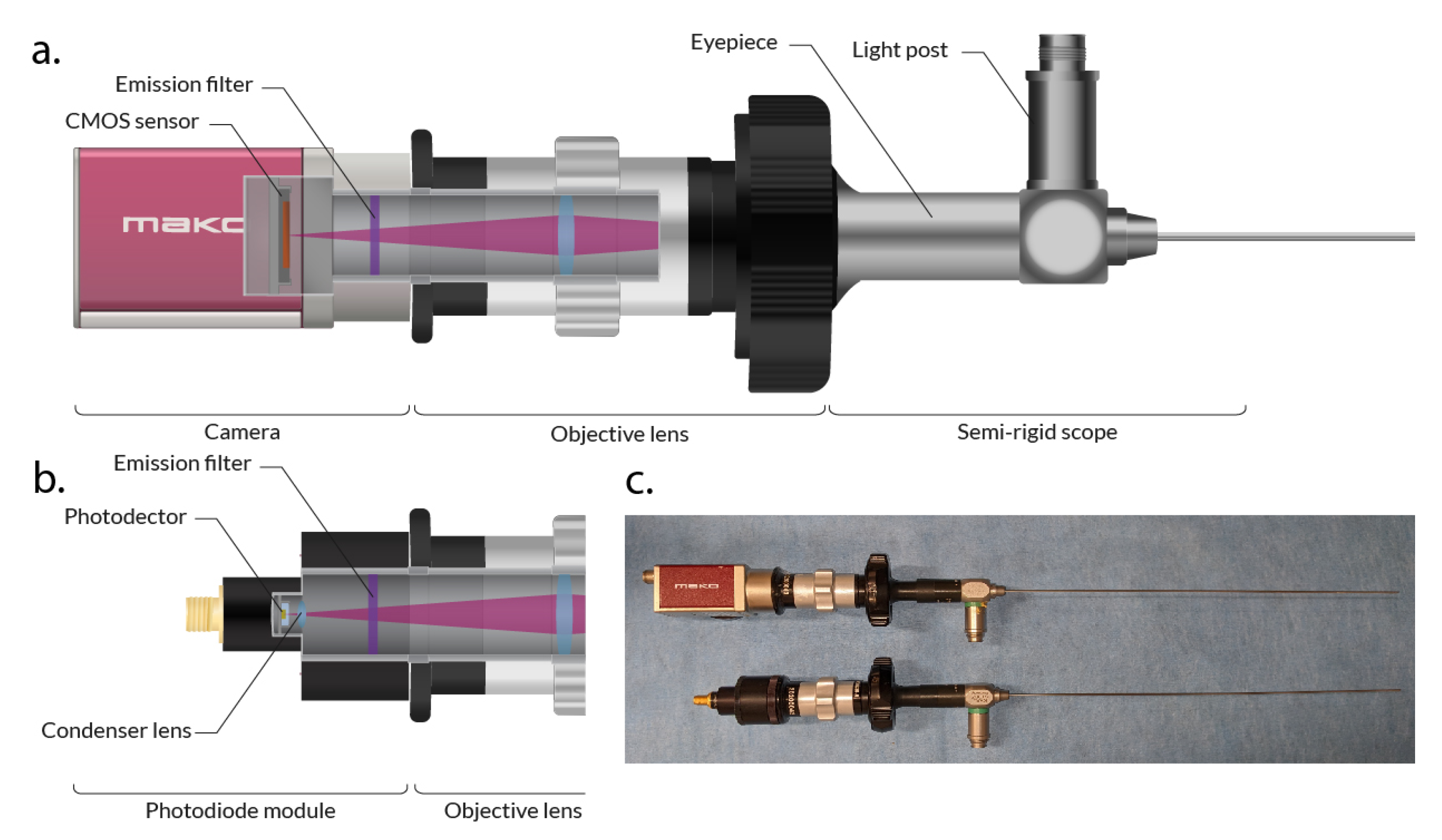 Photodiode Detector