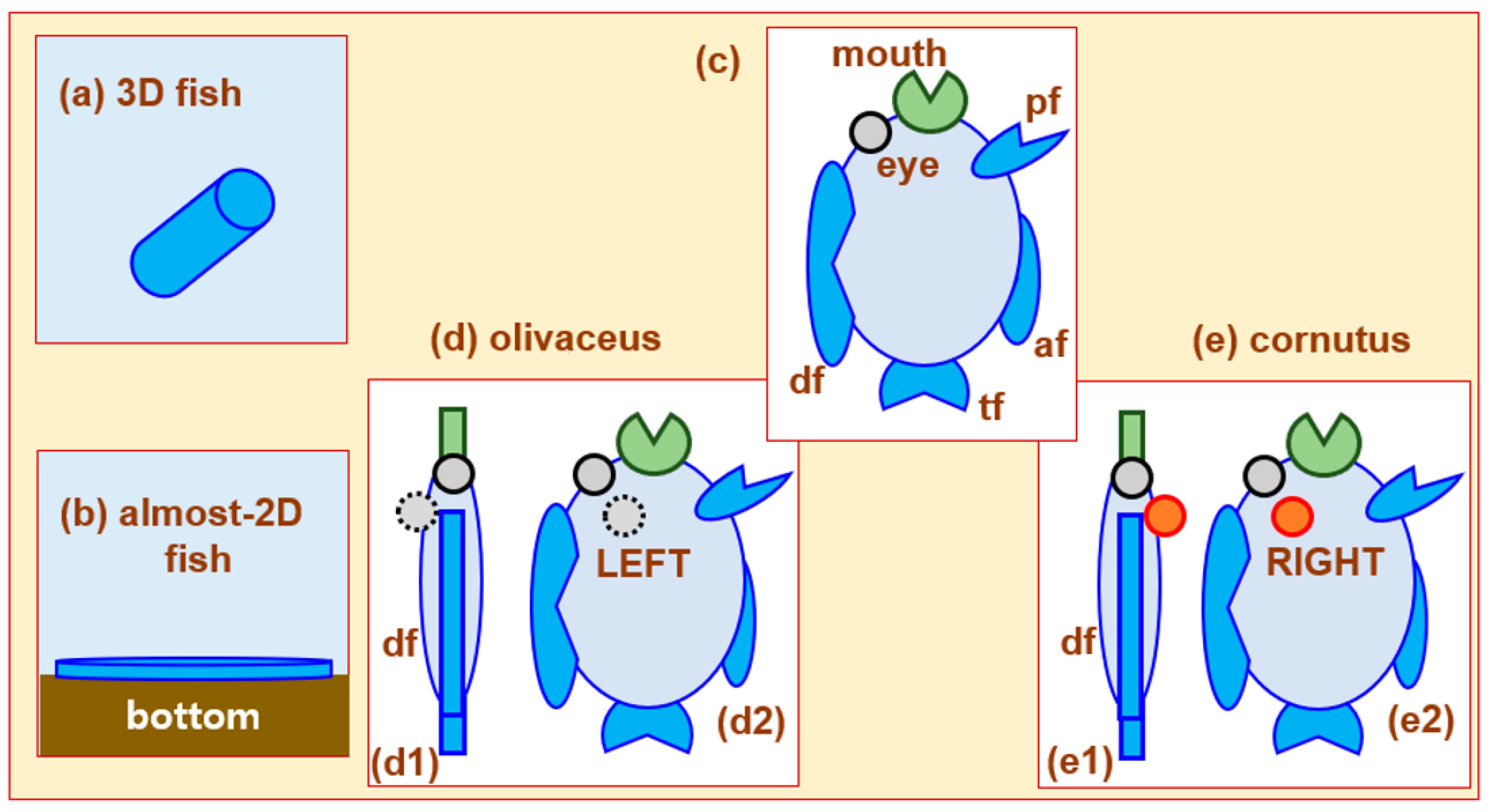 Optics 04 00030 g006