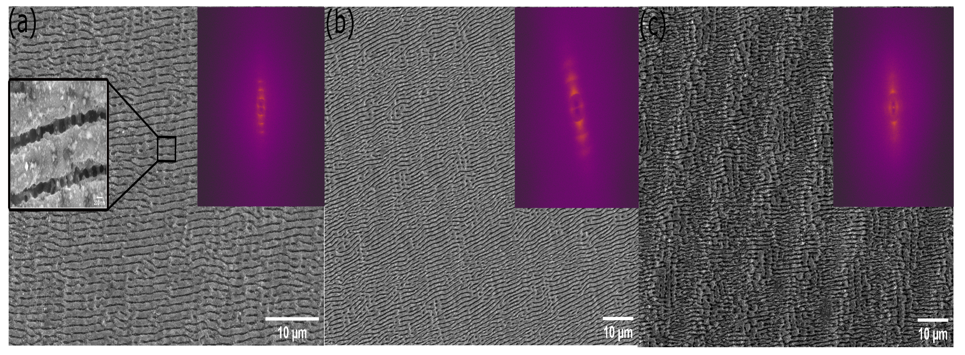 Optics 04 00039 g005