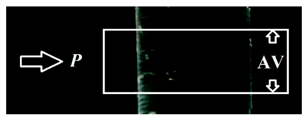 Optics 05 00013 g005