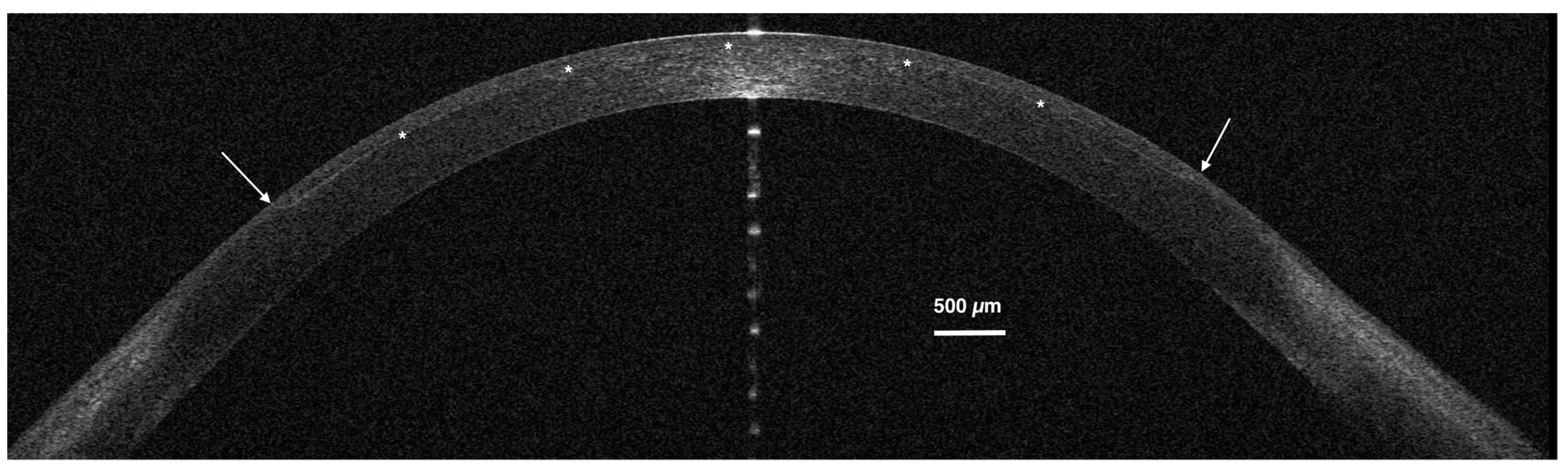 Optics 05 00019 g003
