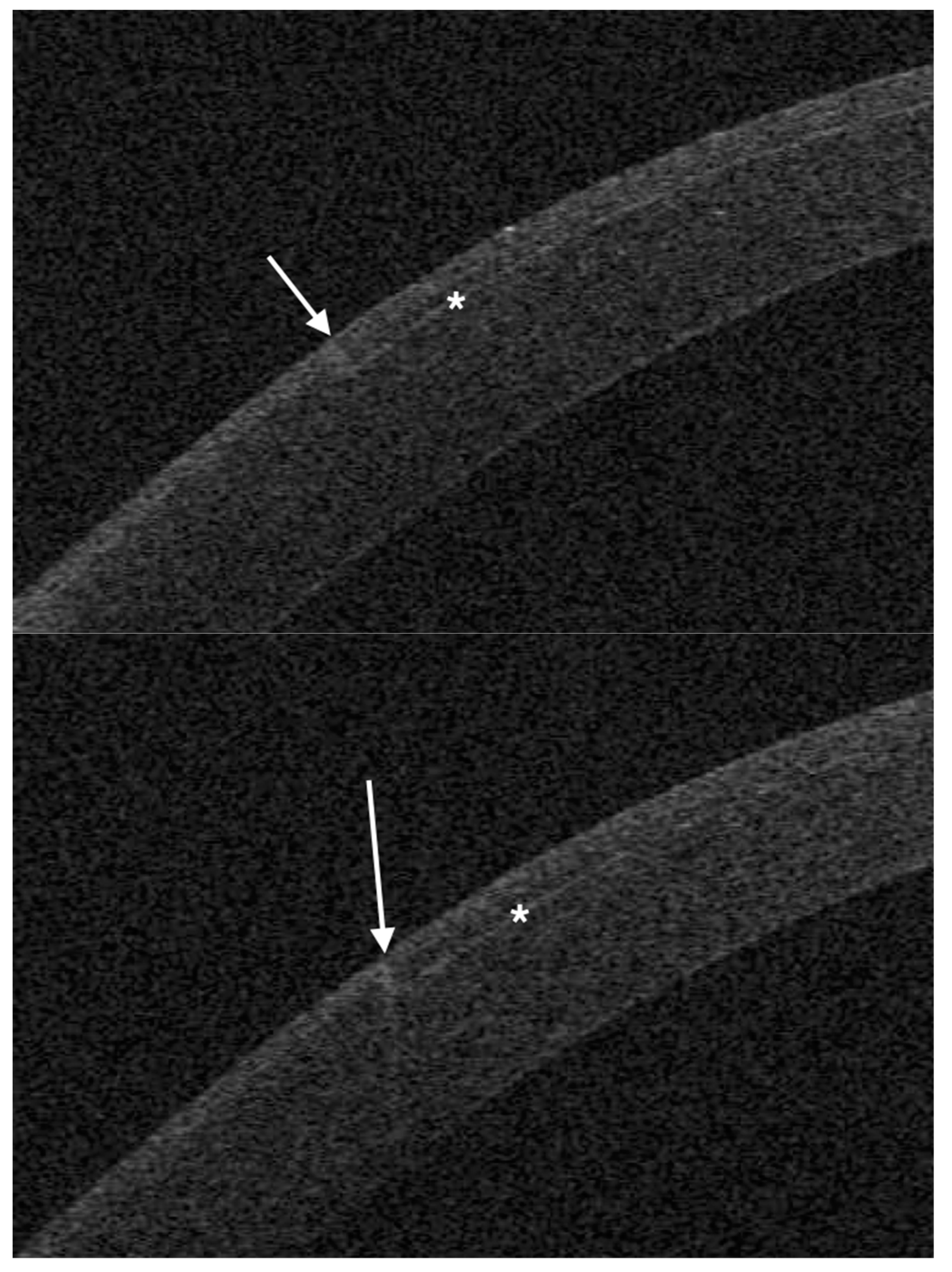 Optics 05 00019 g005