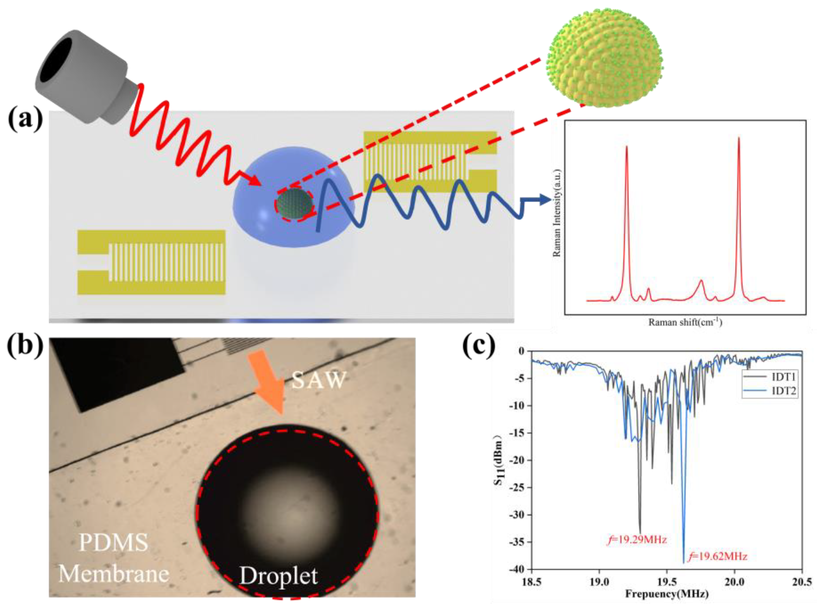 Optics 05 00027 g001