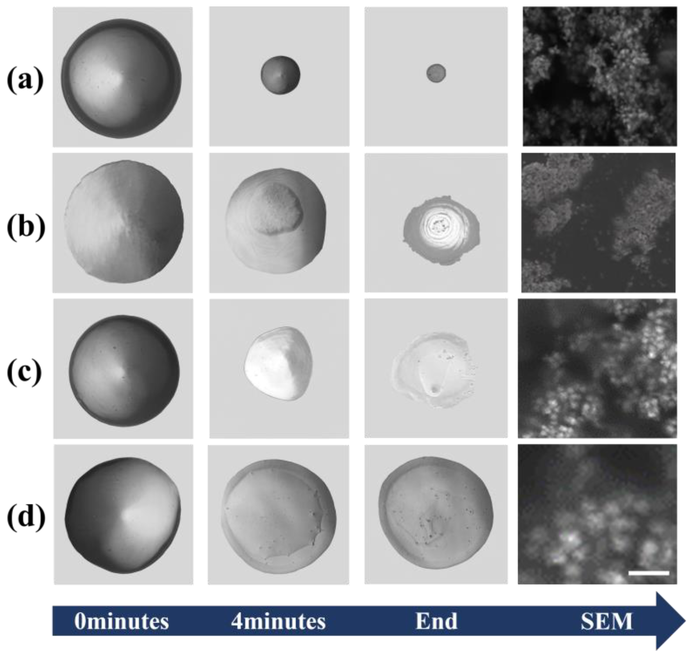 Optics 05 00027 g007
