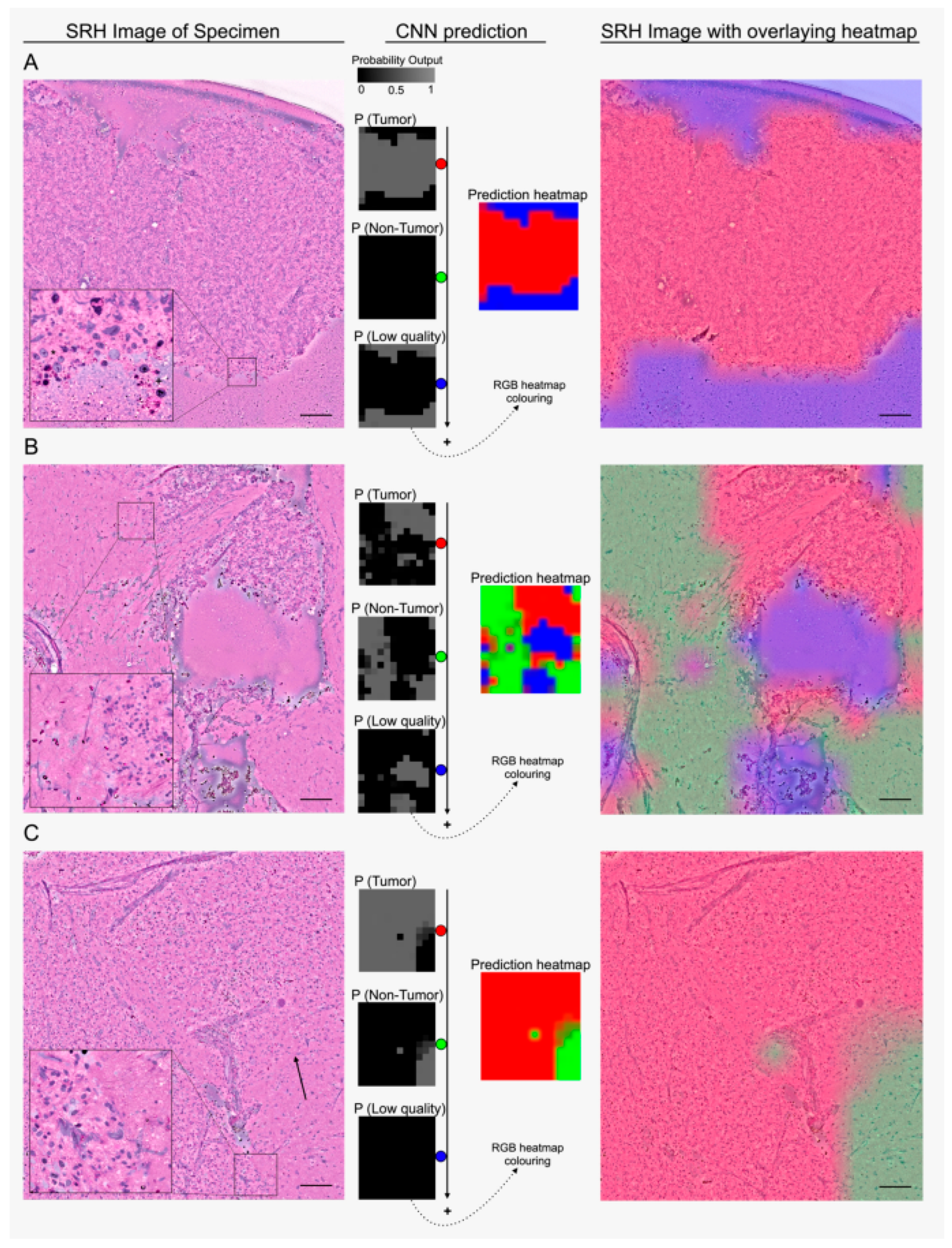 Optics 05 00031 g003