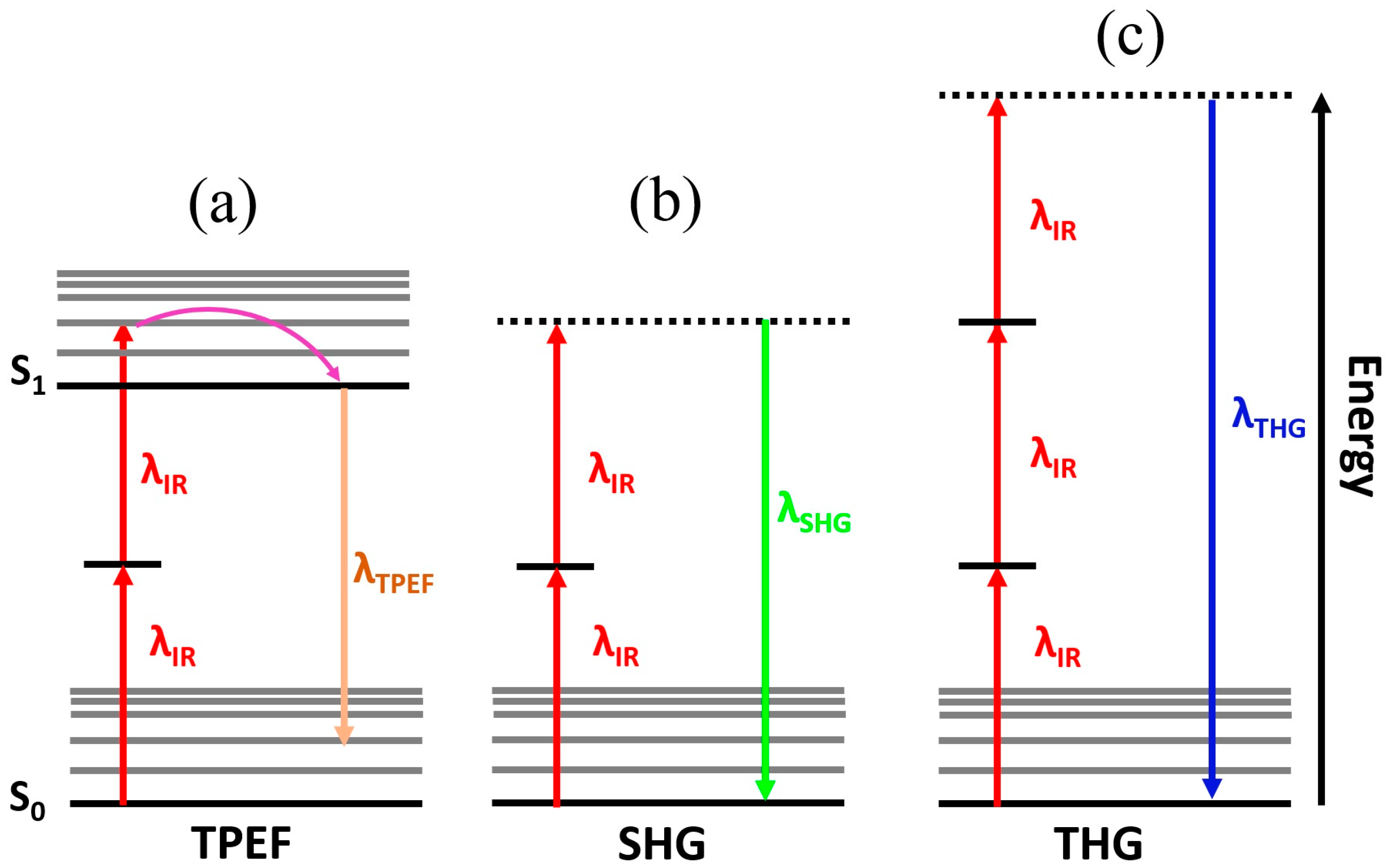 Optics 05 00031 g007