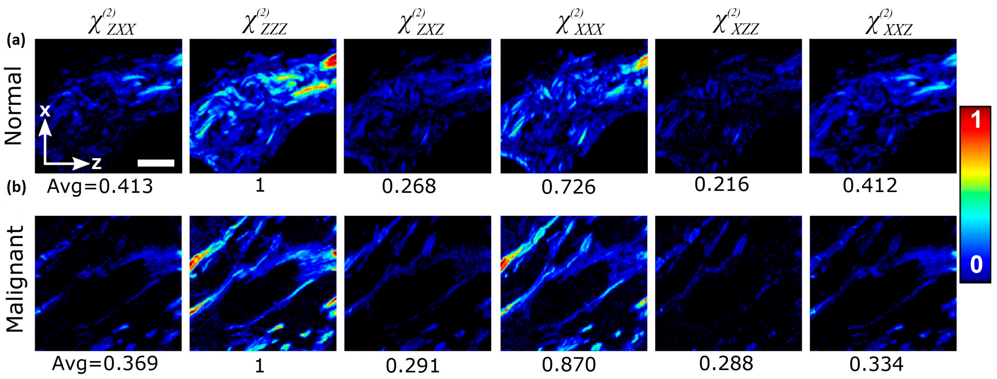 Optics 05 00031 g008