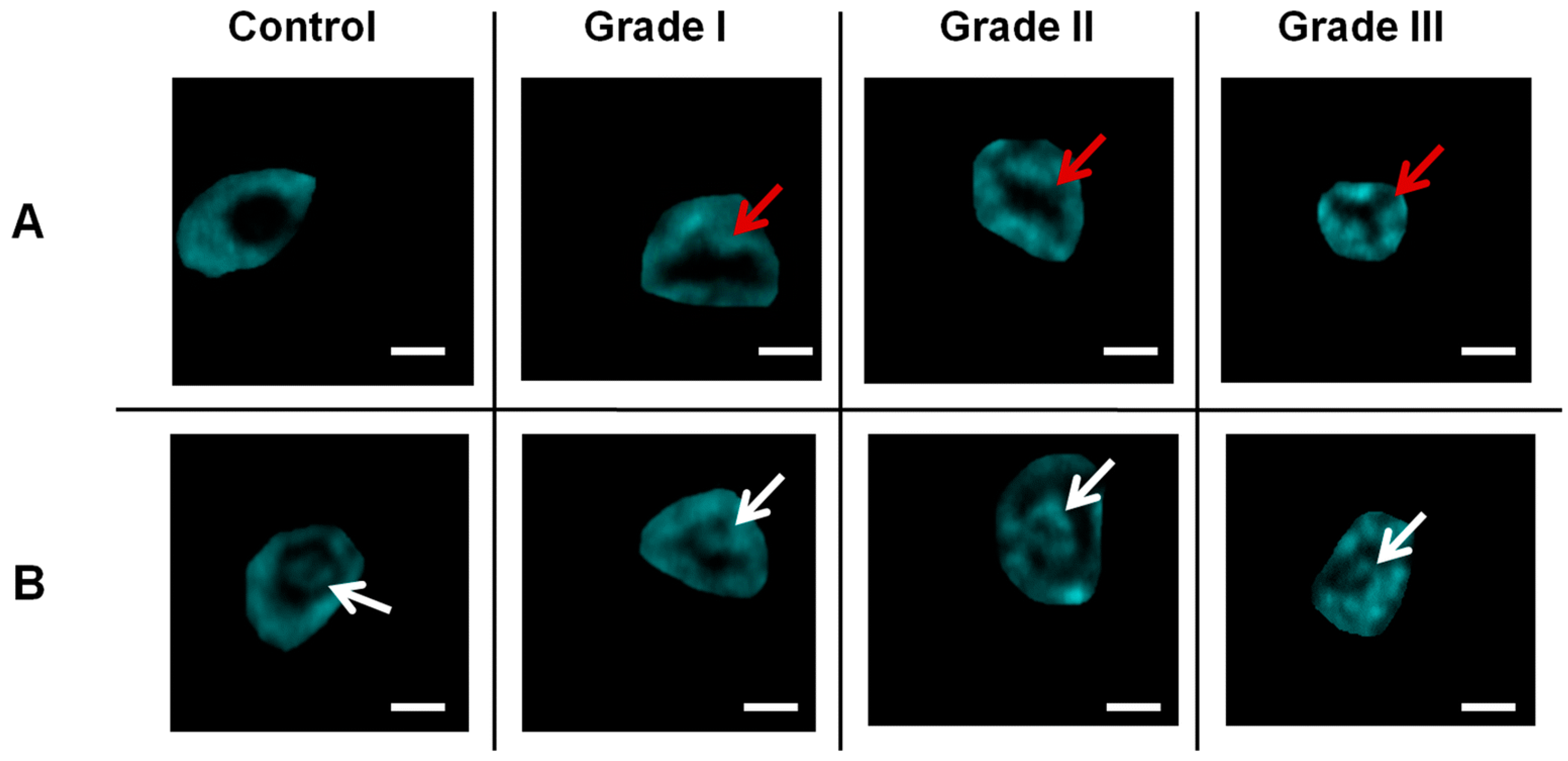 Optics 05 00031 g009