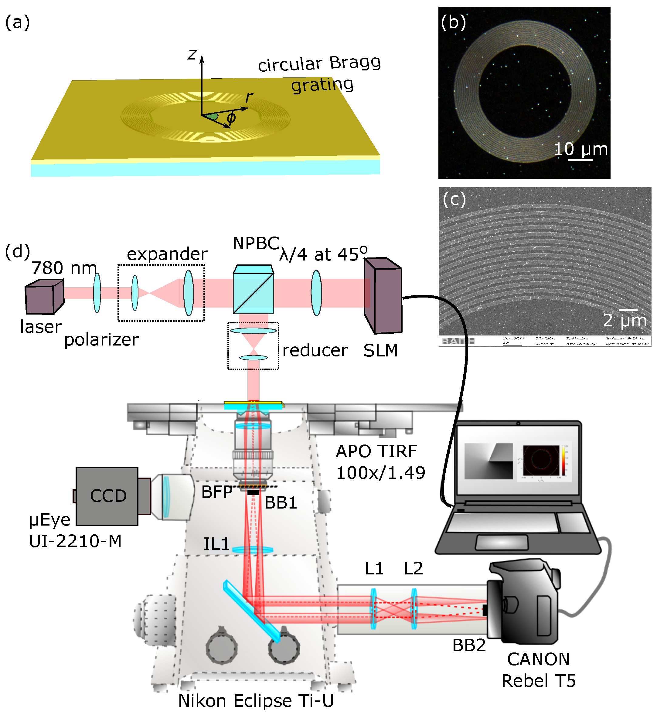 Optics 05 00039 g001 Optics 05 00039 g001
