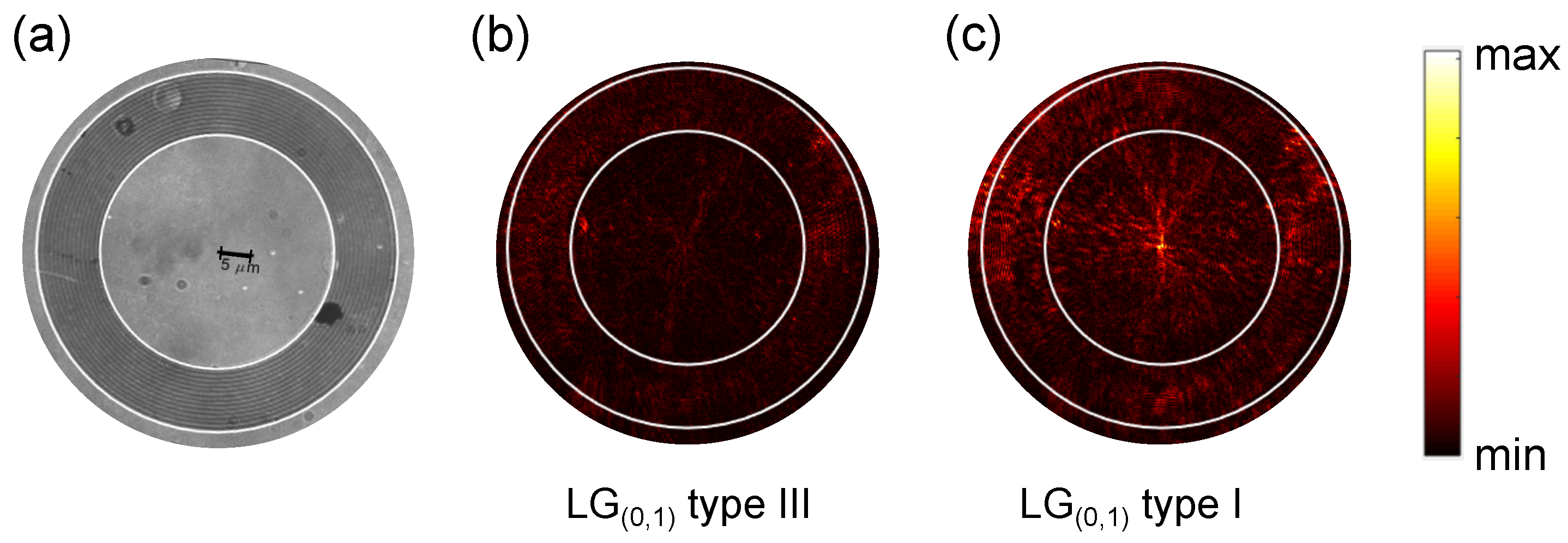 Optics 05 00039 g004 Optics 05 00039 g004