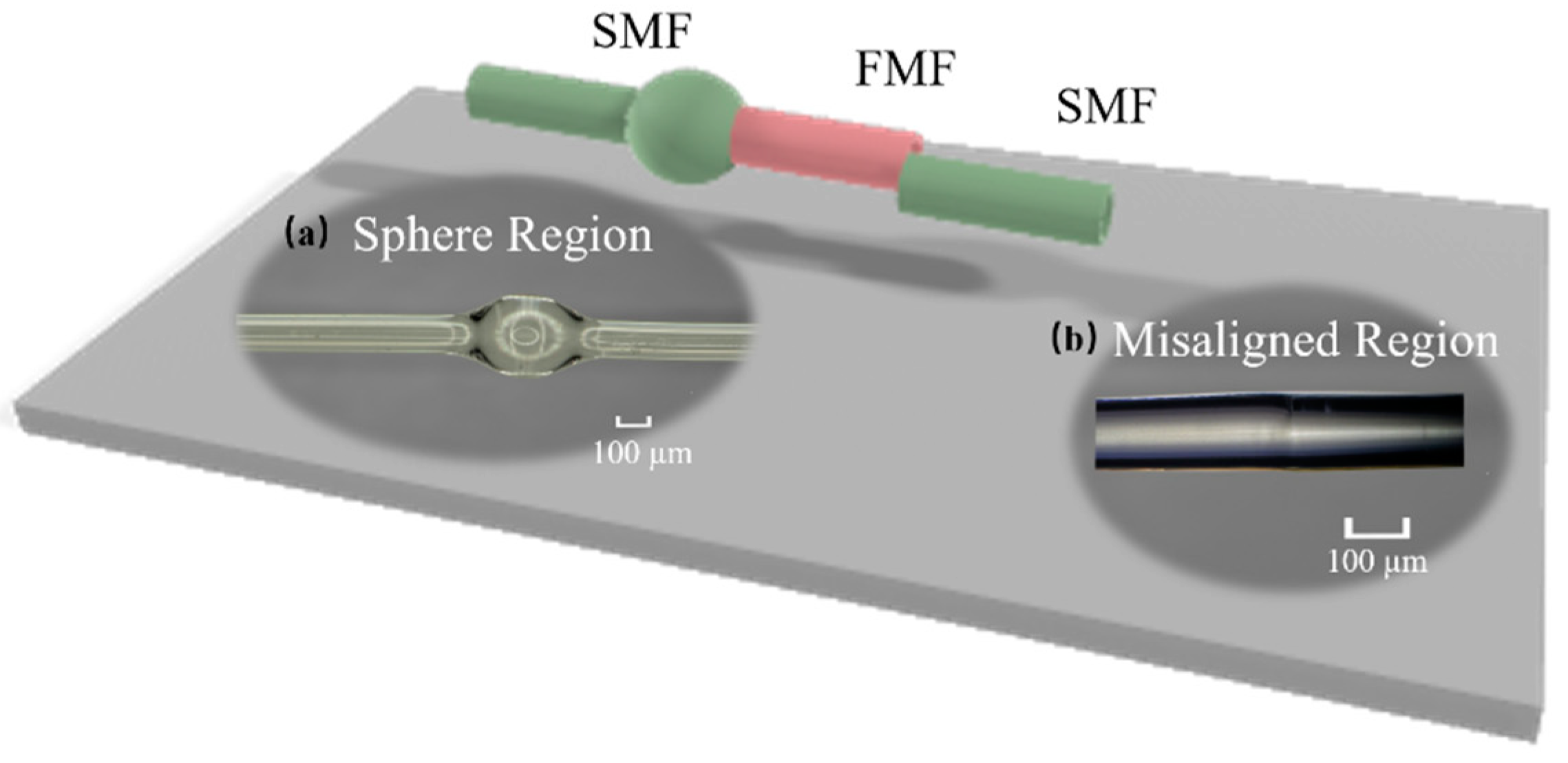 Optics 06 00003 g001
