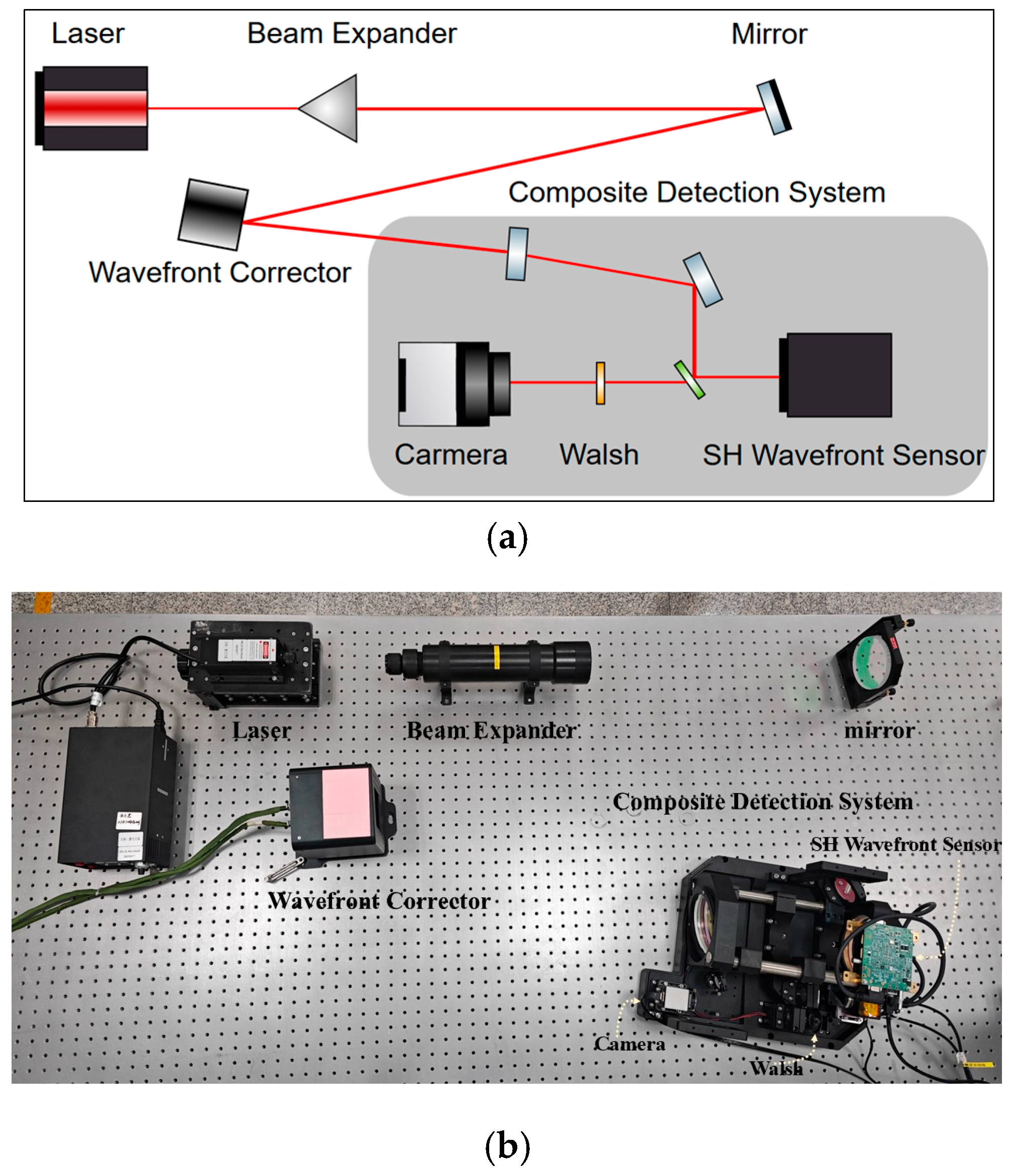 Optics 06 00011 g010