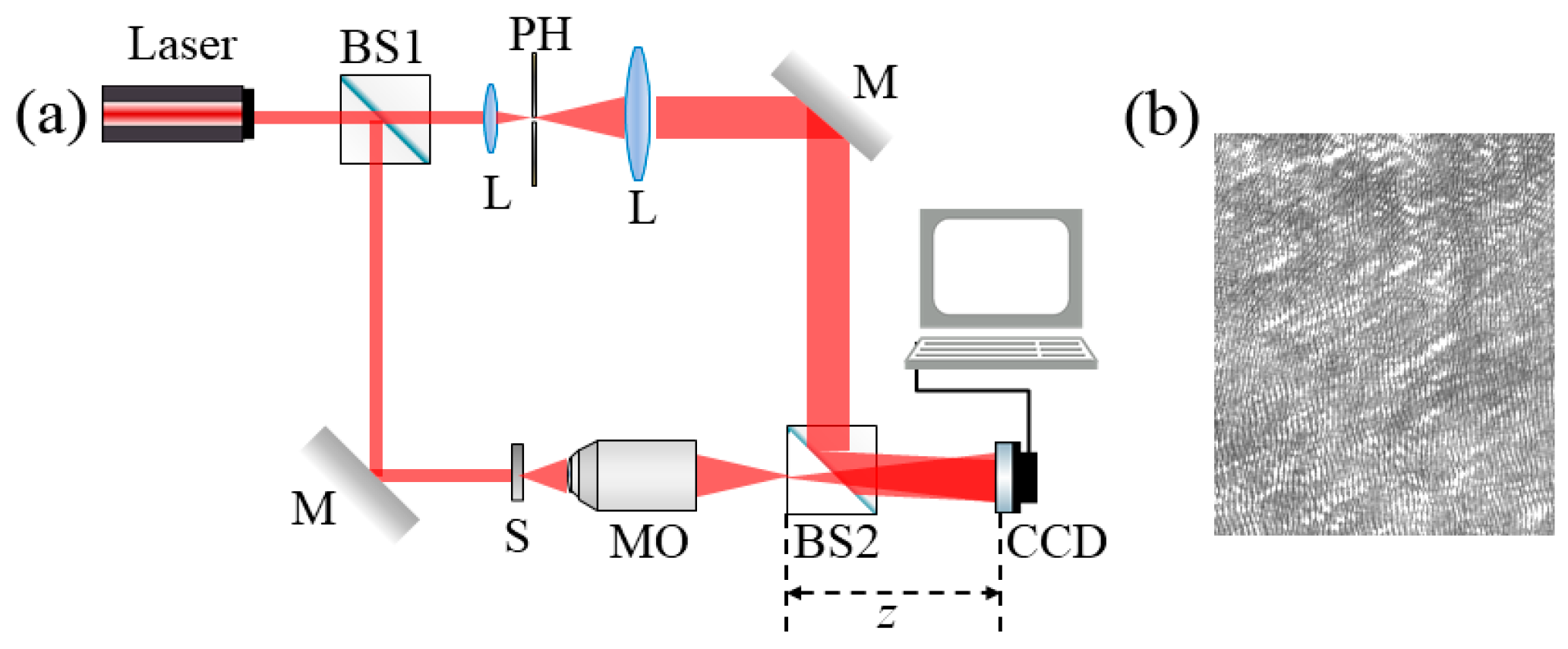 Optics 06 00017 g002