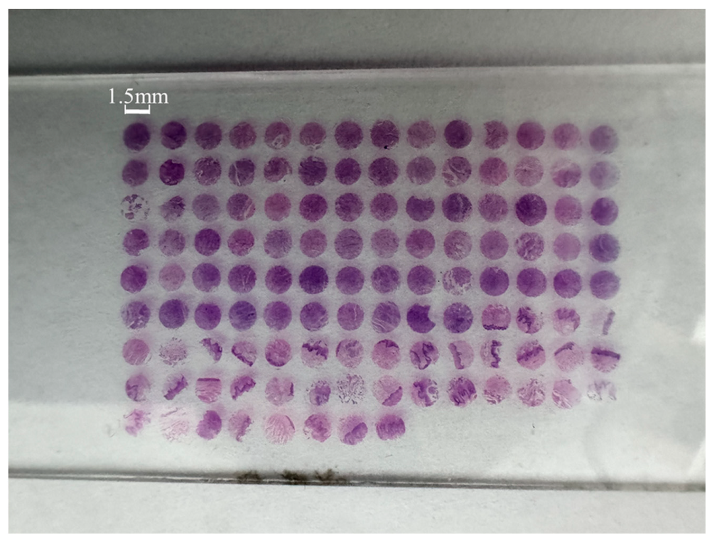 Optics 06 00035 g001