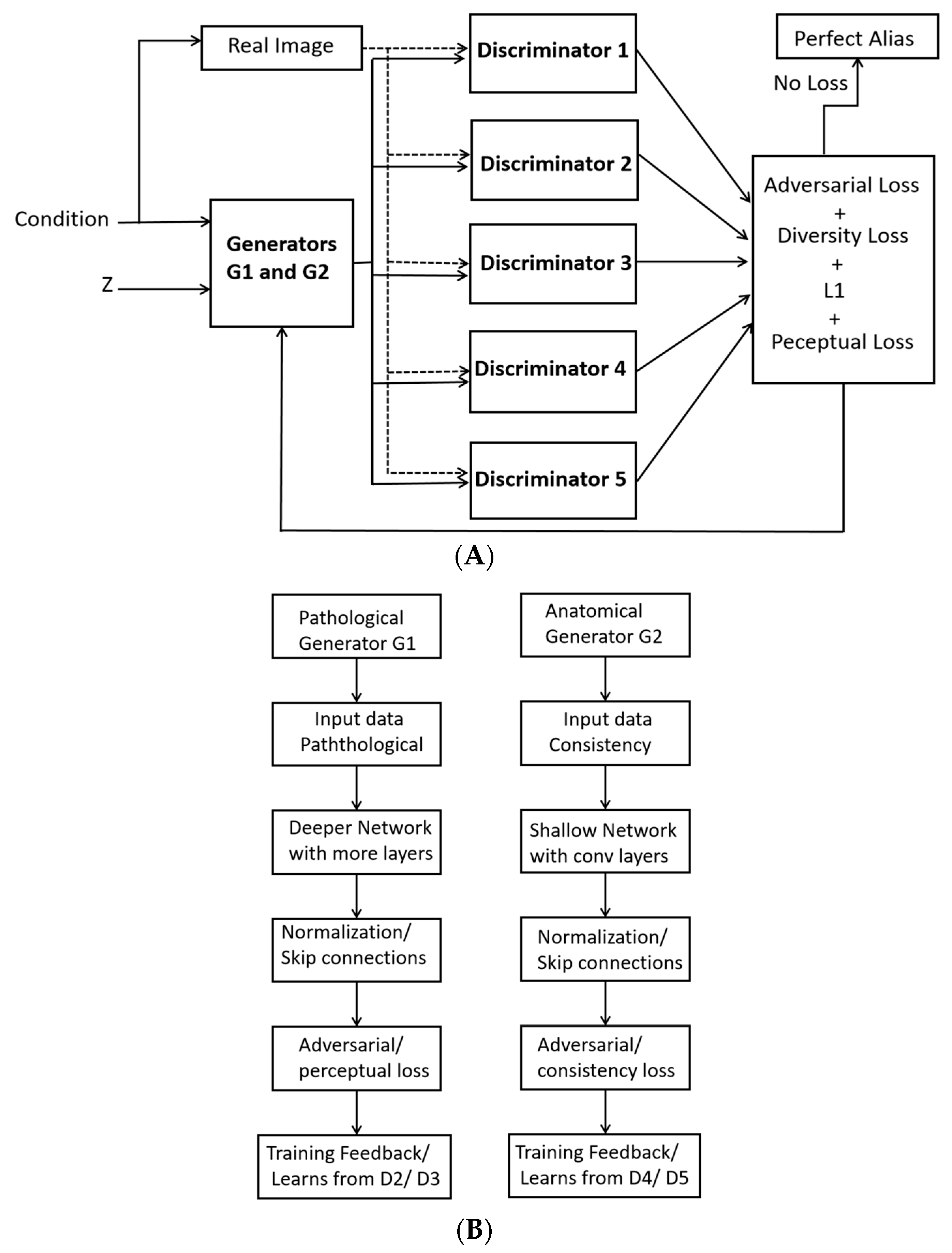 Optics 06 00038 g002