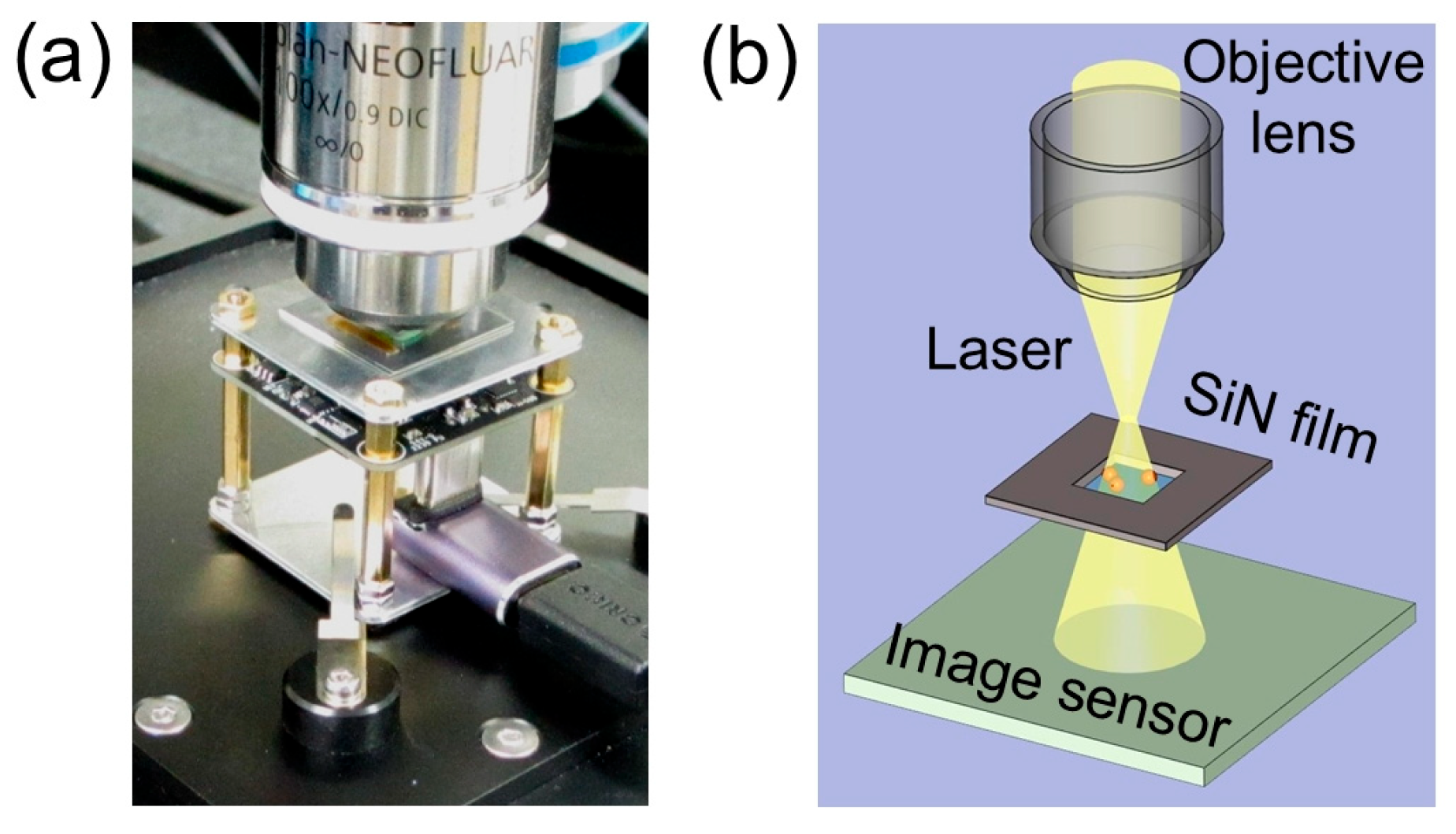 Optics 06 00050 g001