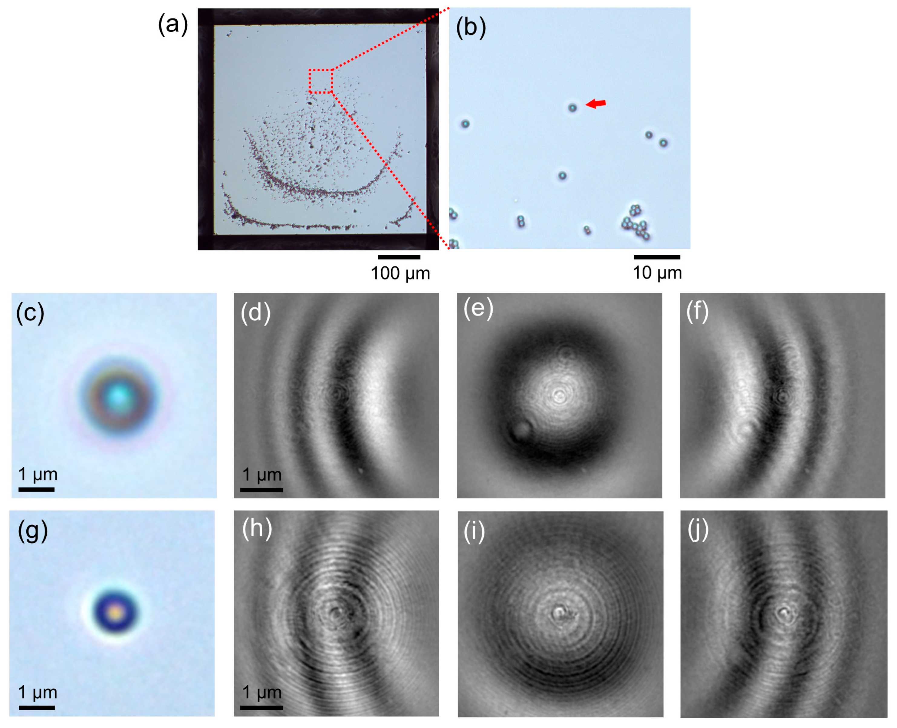 Optics 06 00050 g002