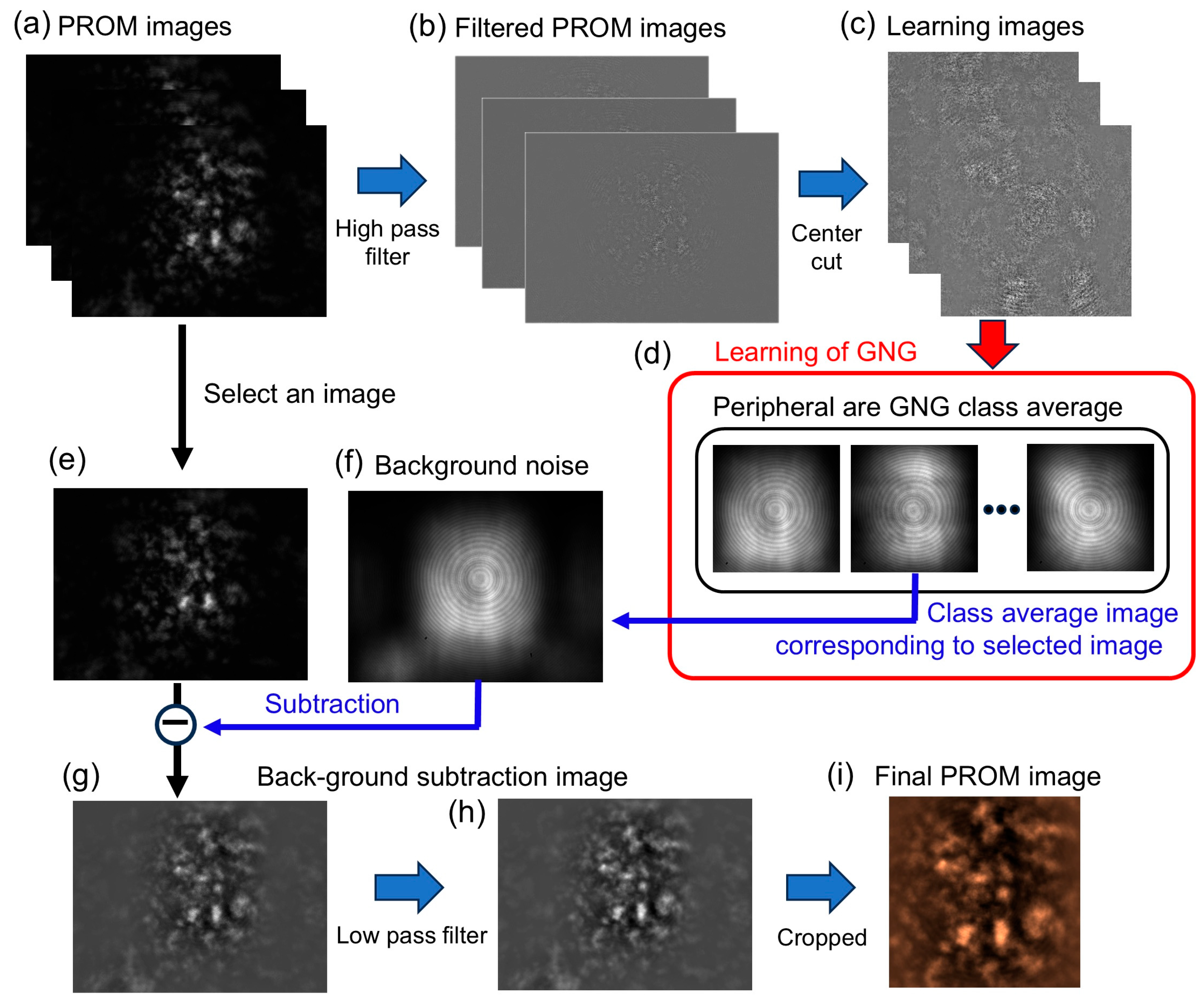 Optics 06 00050 g004