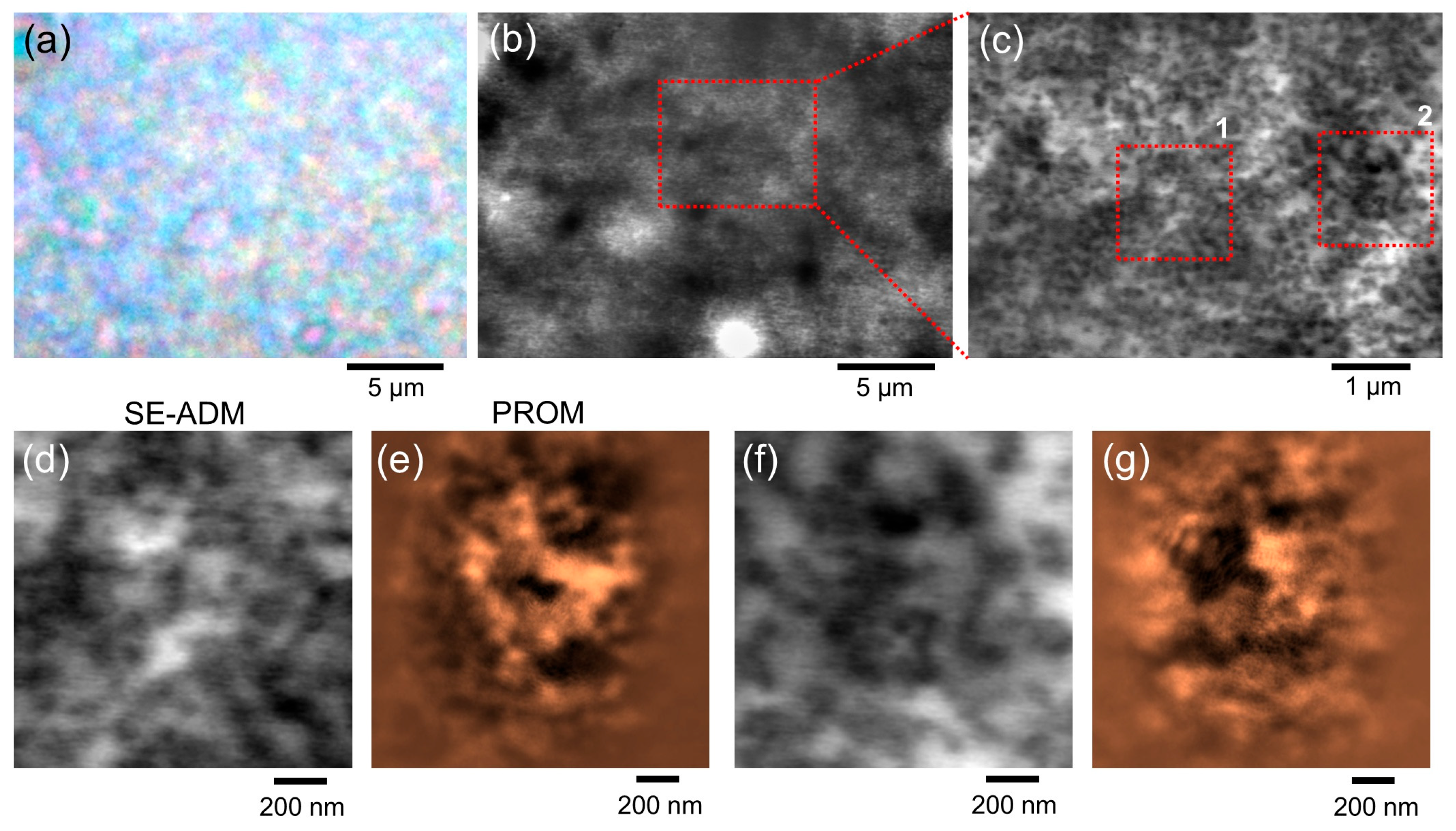 Optics 06 00050 g006