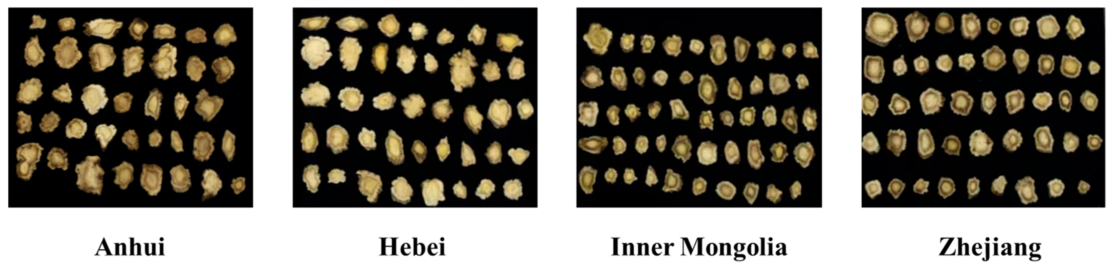 Optics 06 00052 g001 Optics 06 00052 g001