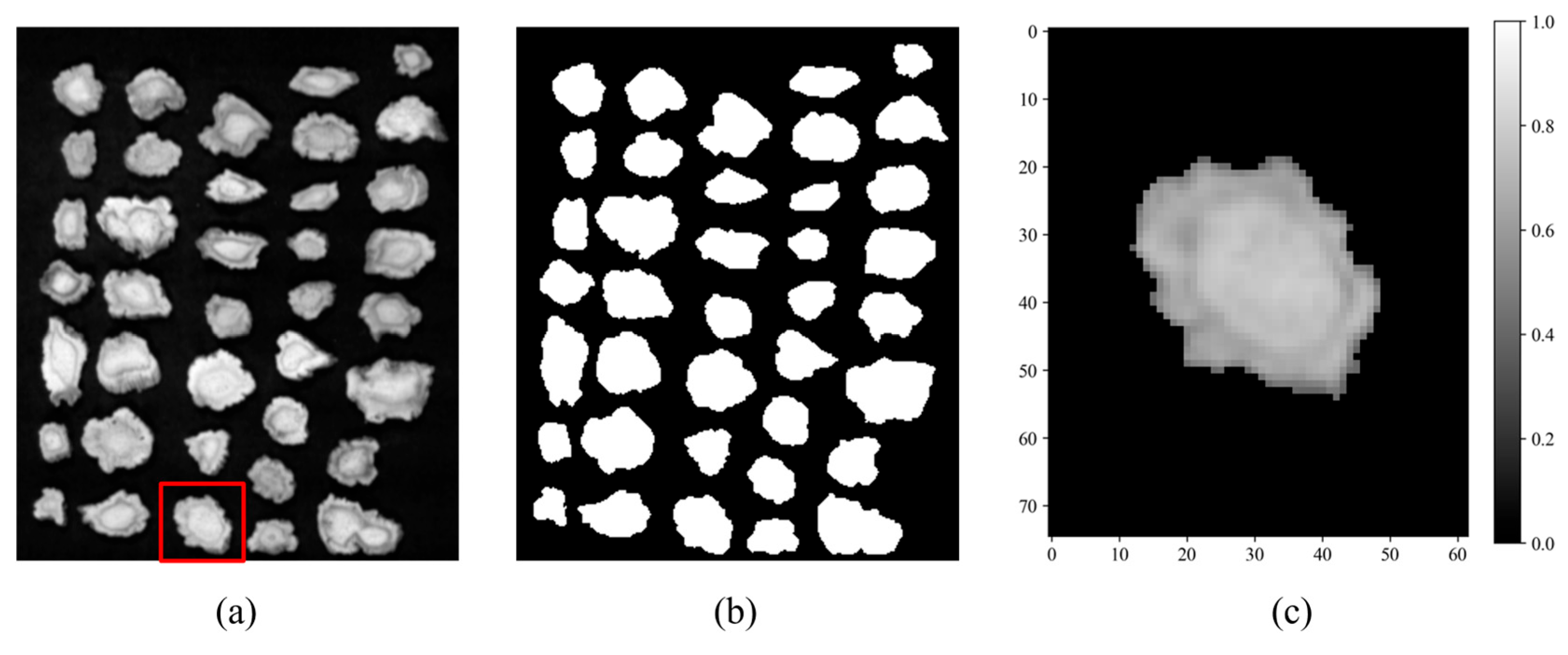Optics 06 00052 g003 Optics 06 00052 g003