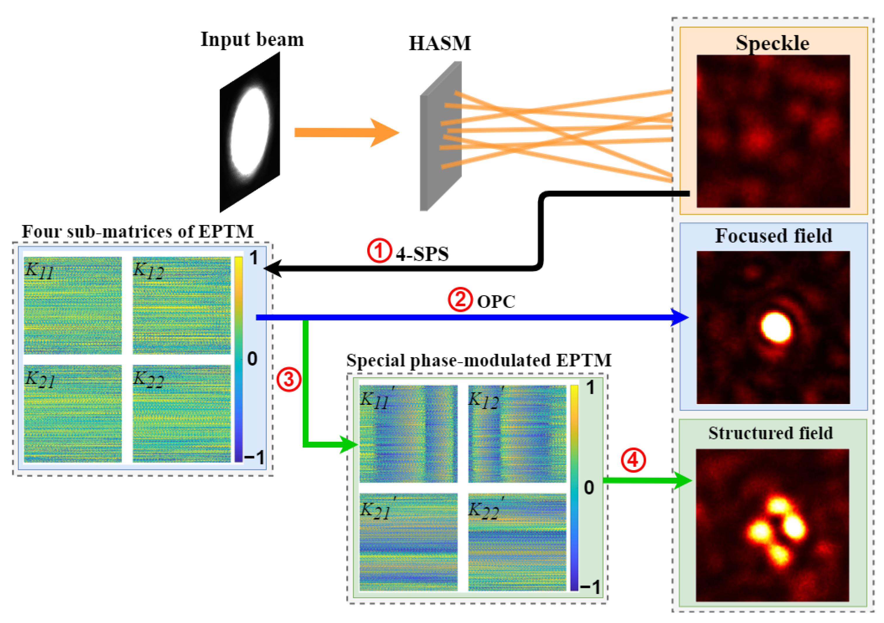 Optics 06 00066 g002