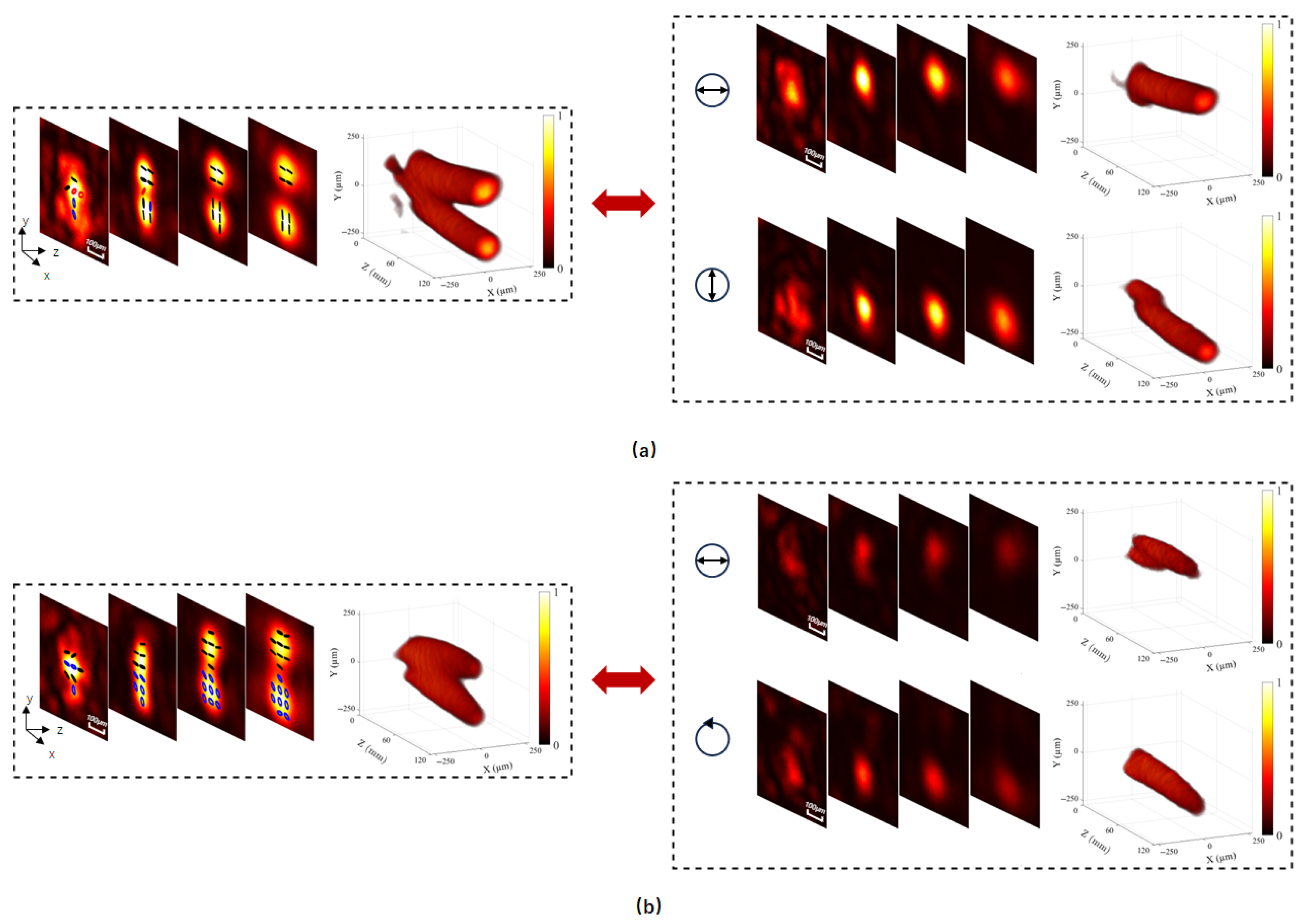 Optics 06 00066 g005