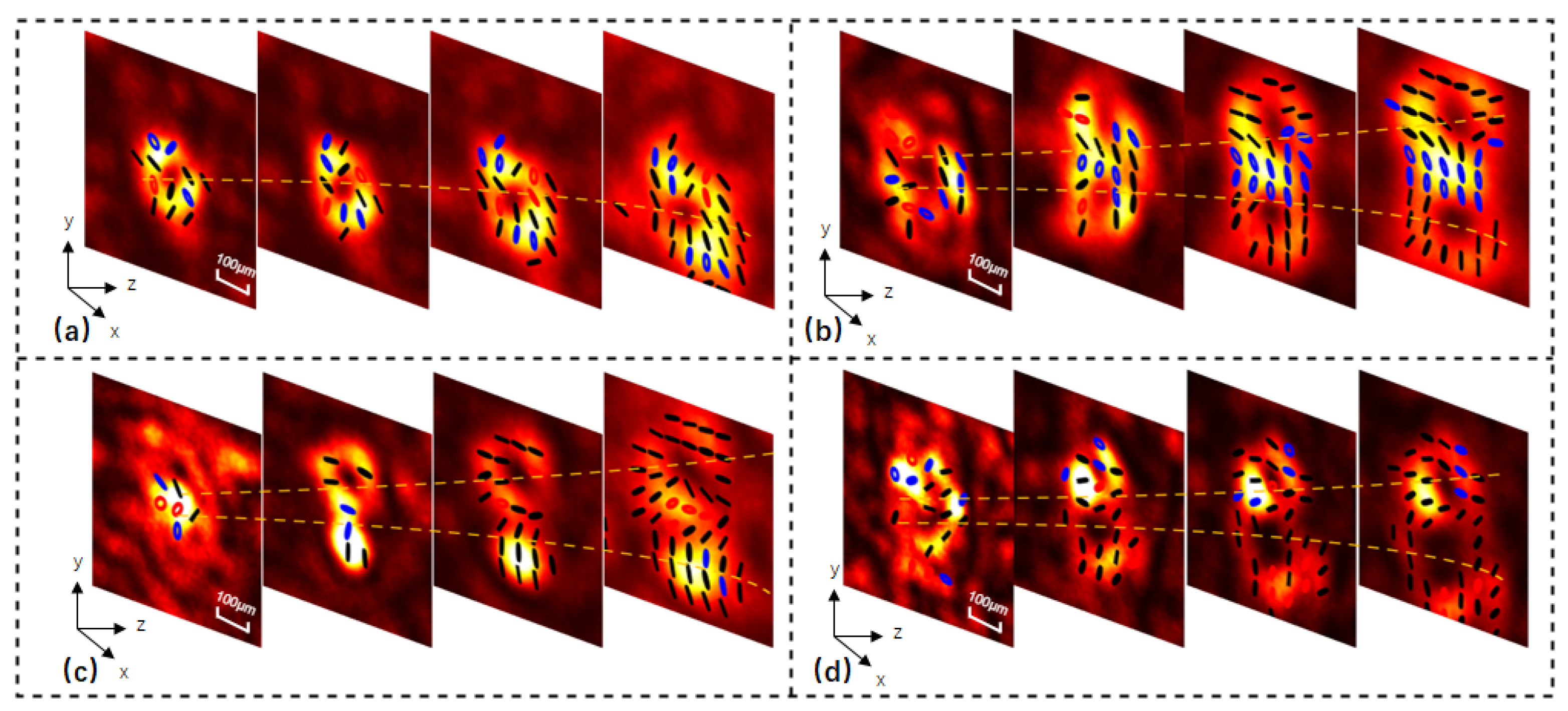 Optics 06 00066 g006