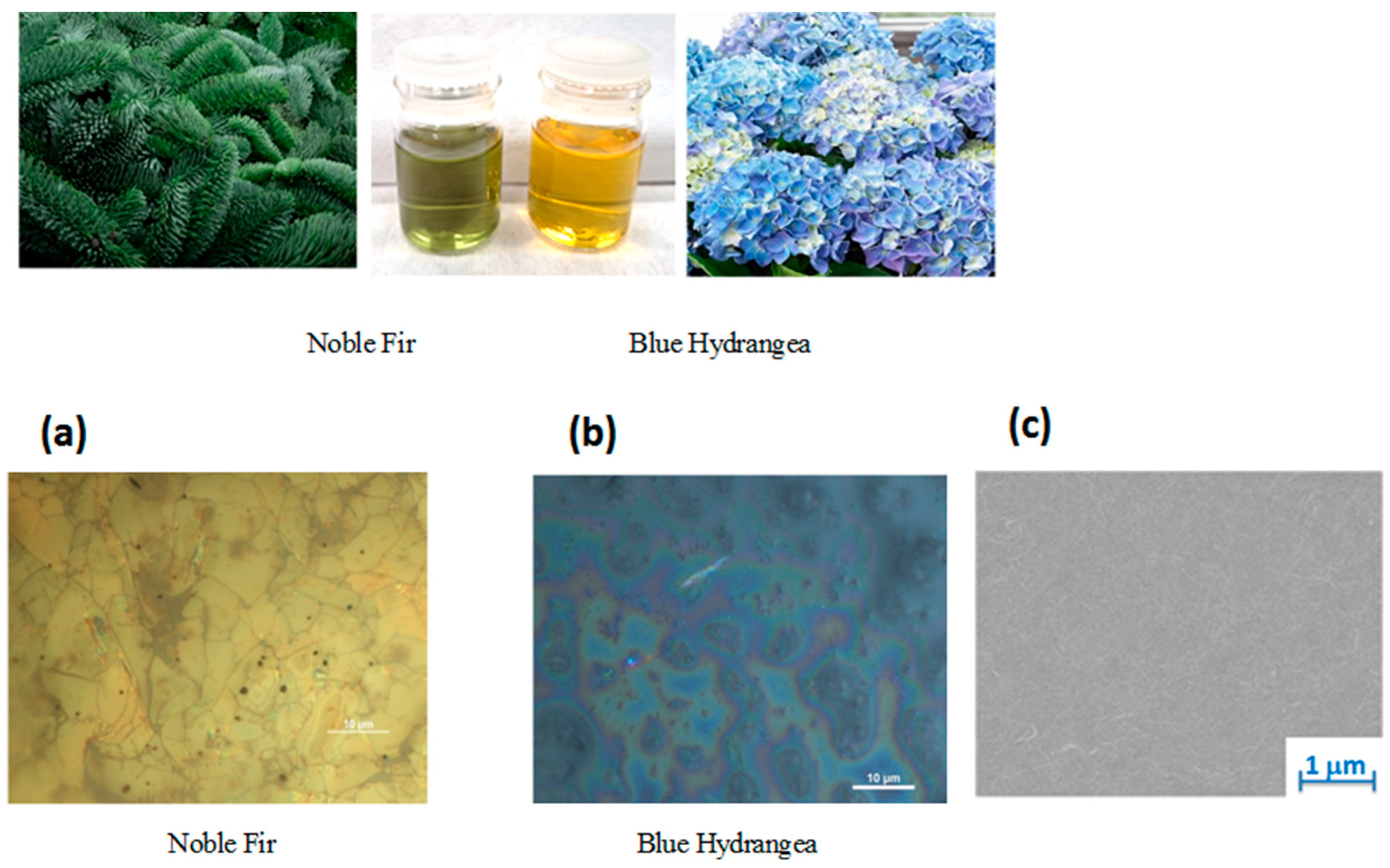 Optics 07 00008 g001
