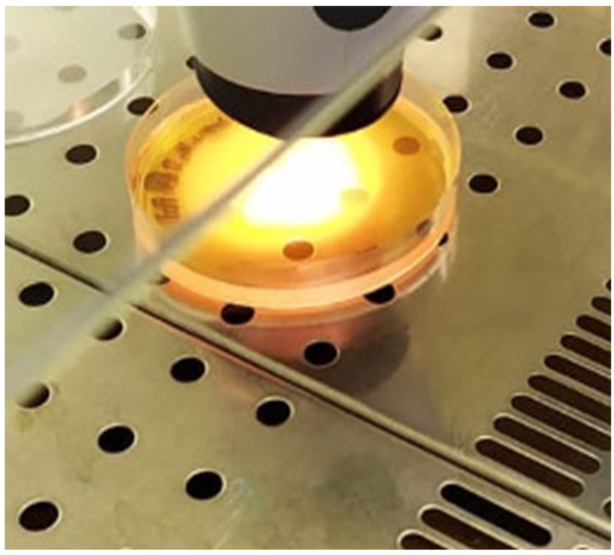Optics 07 00010 g004