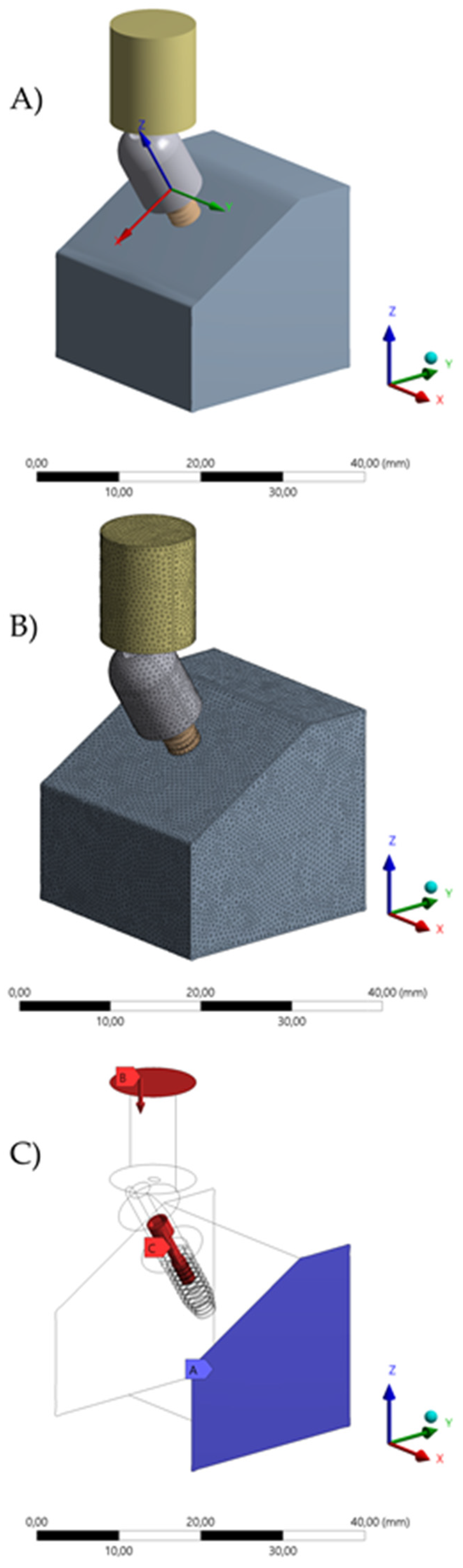 Oral 01 00009 g002 Oral 01 00009 g002
