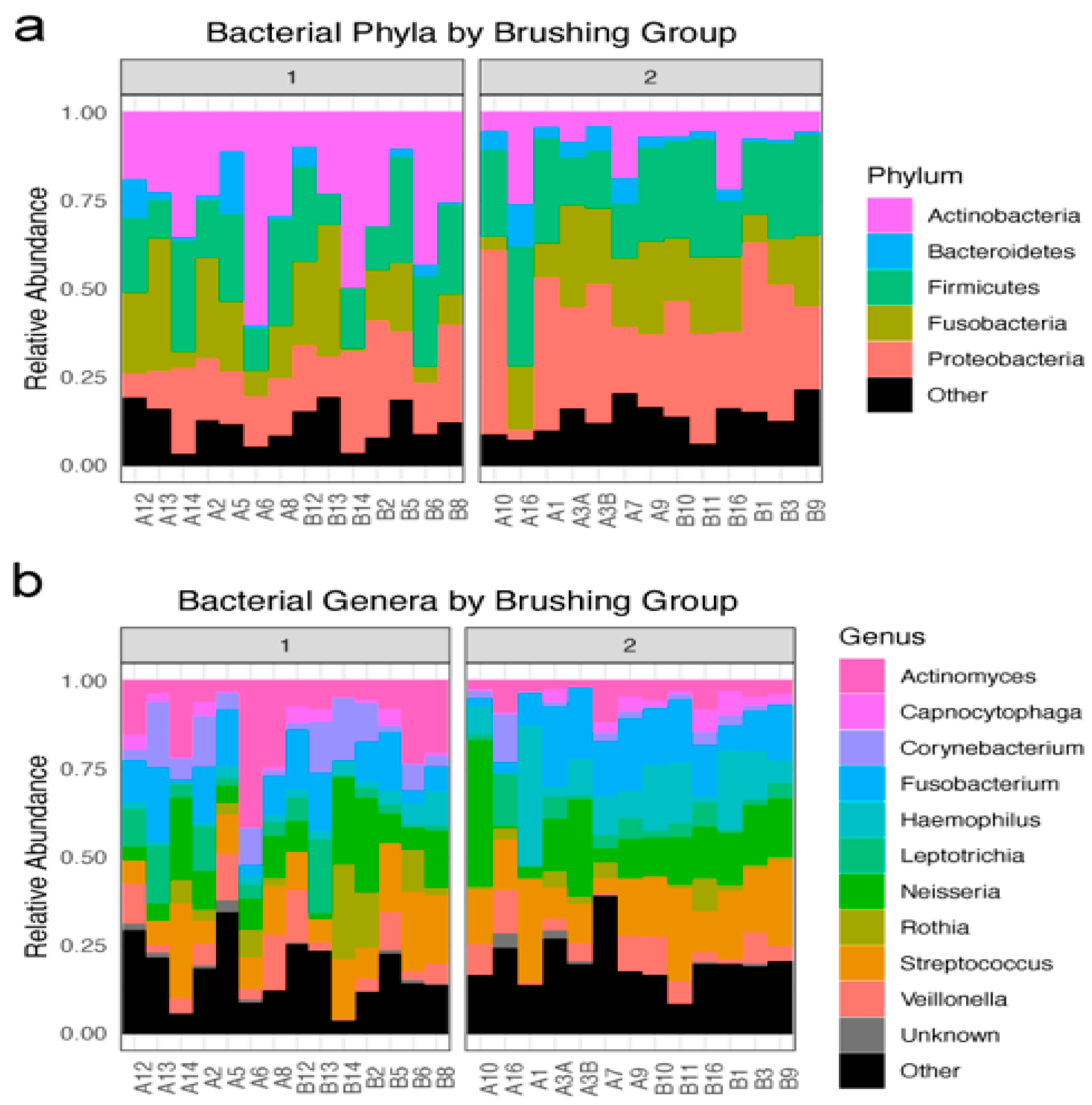 Oral 01 00012 g001 Oral 01 00012 g001