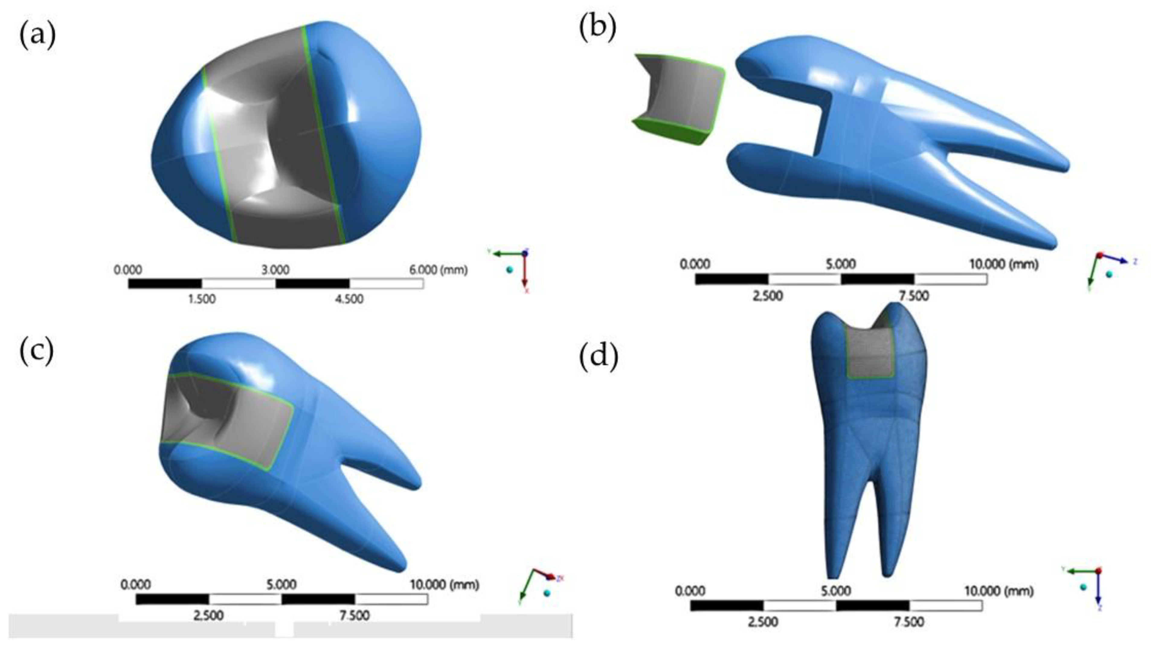 Oral 01 00017 g001 Oral 01 00017 g001