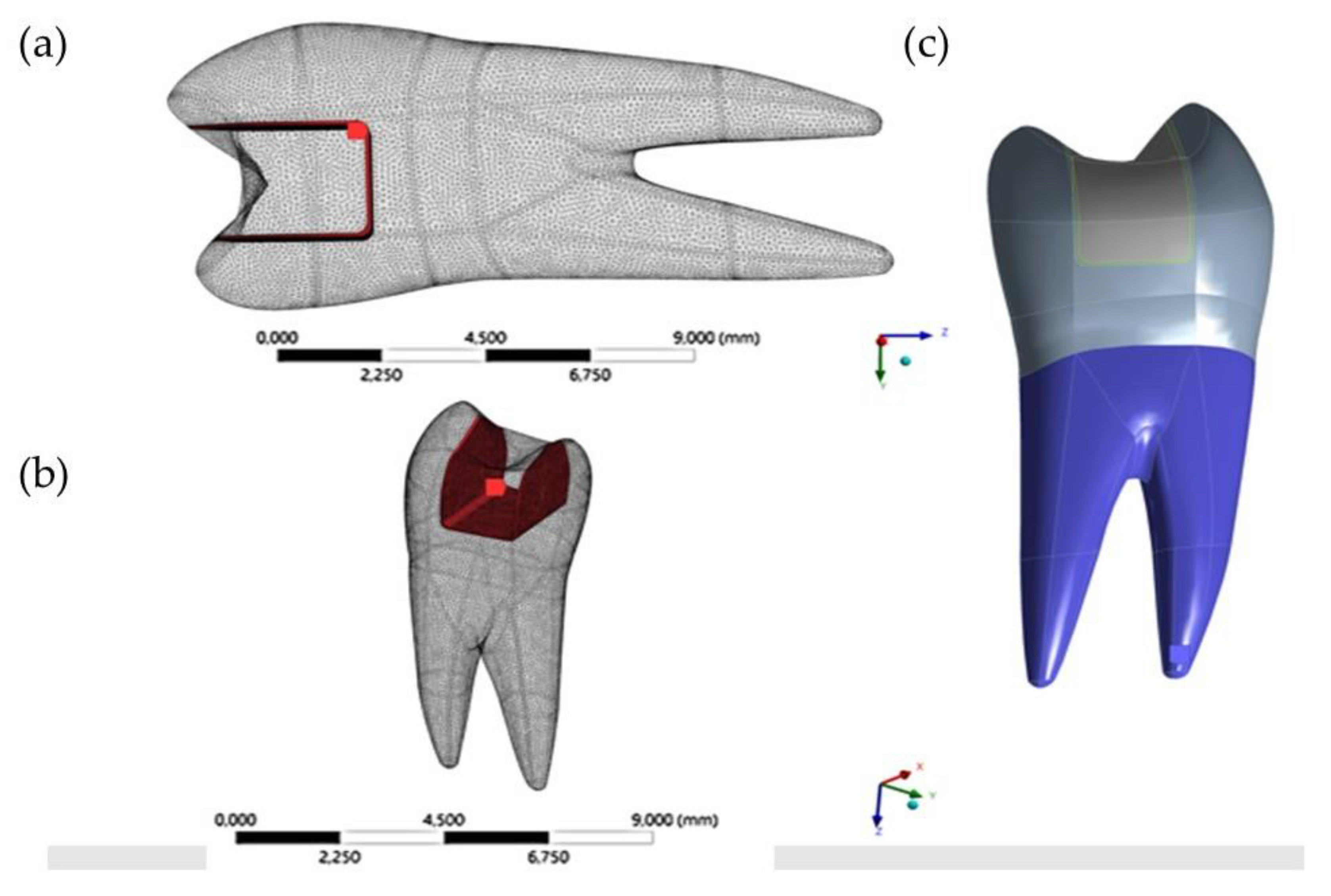 Oral 01 00017 g002 Oral 01 00017 g002