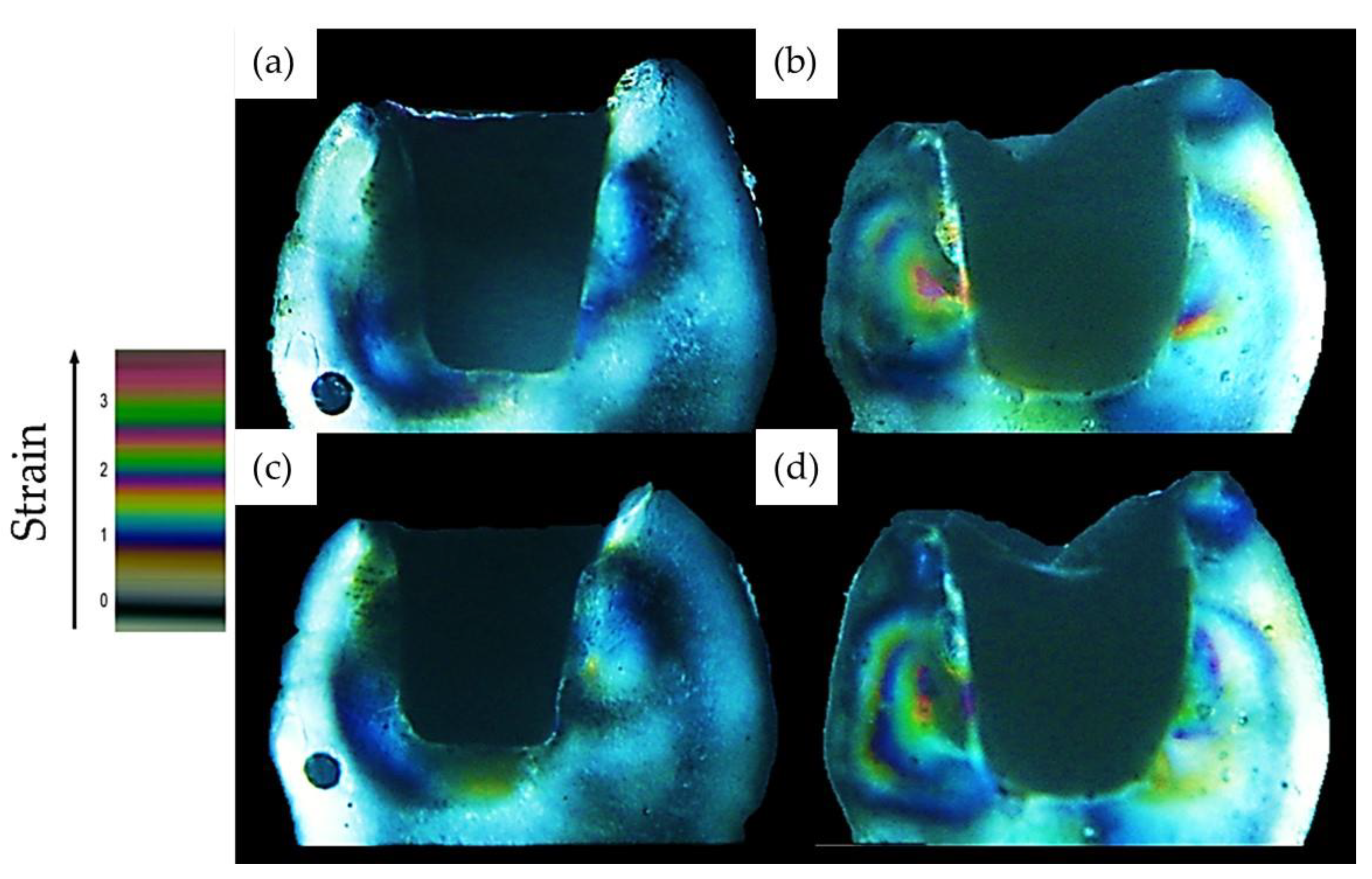 Oral 01 00017 g003 Oral 01 00017 g003