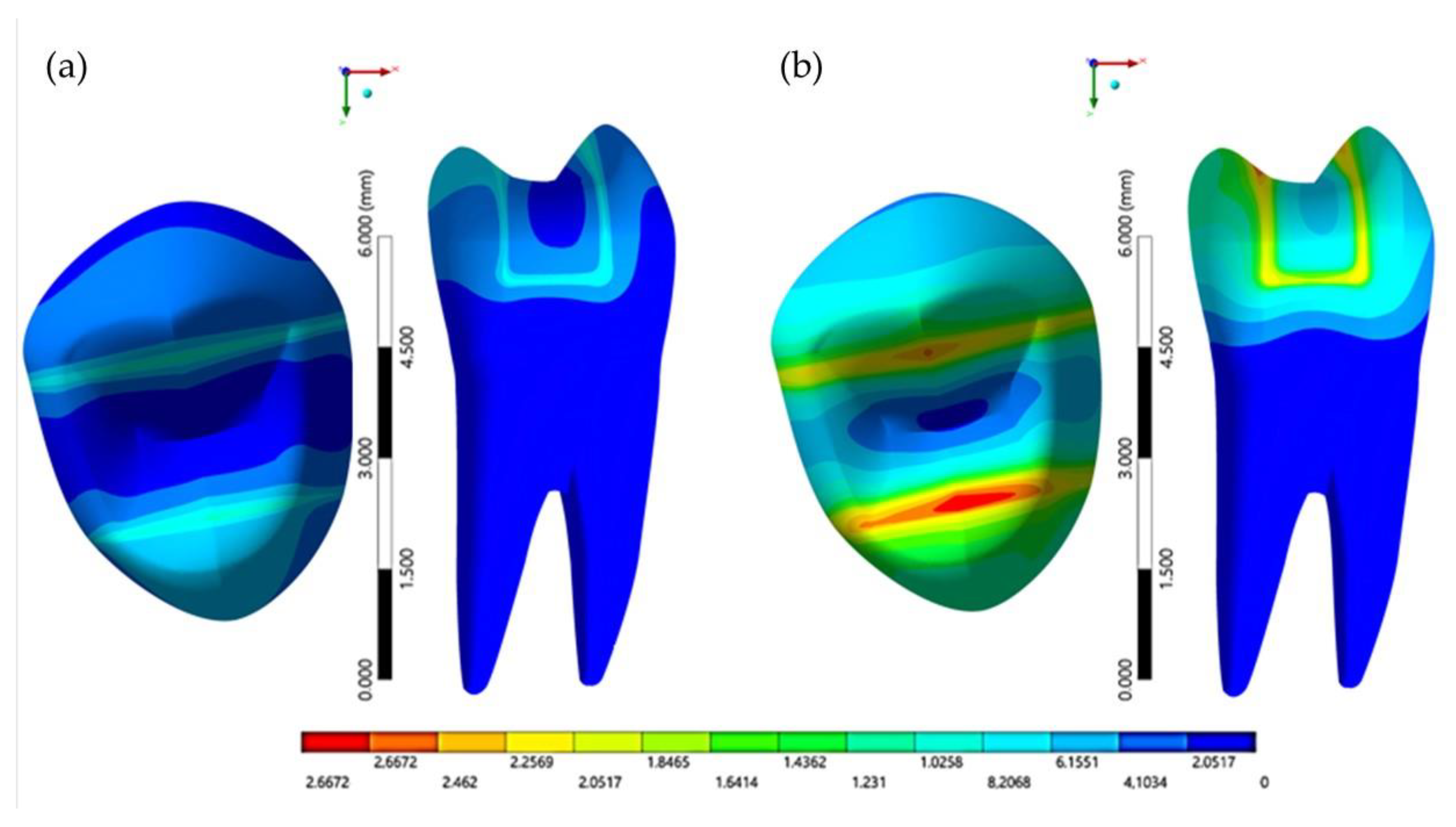 Oral 01 00017 g004 Oral 01 00017 g004