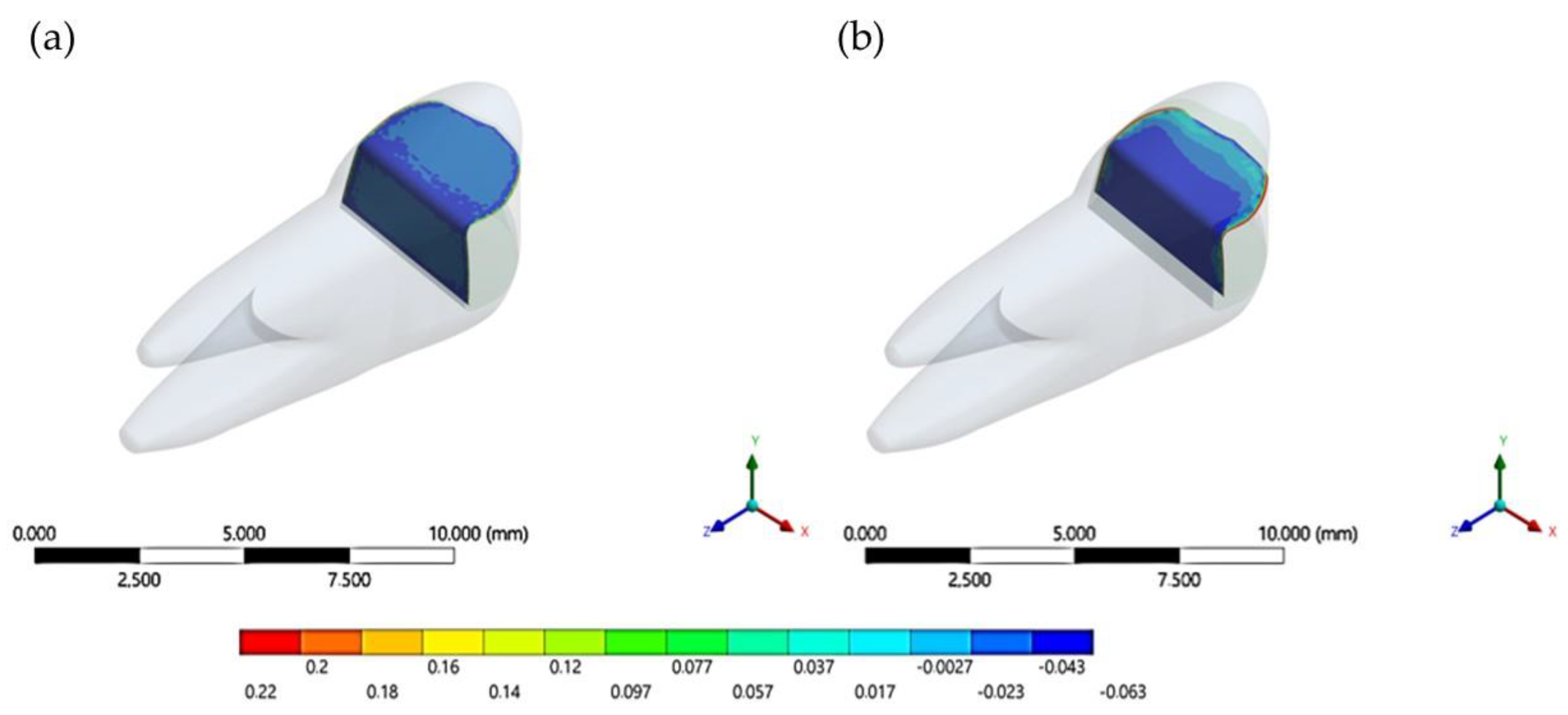 Oral 01 00017 g007 Oral 01 00017 g007