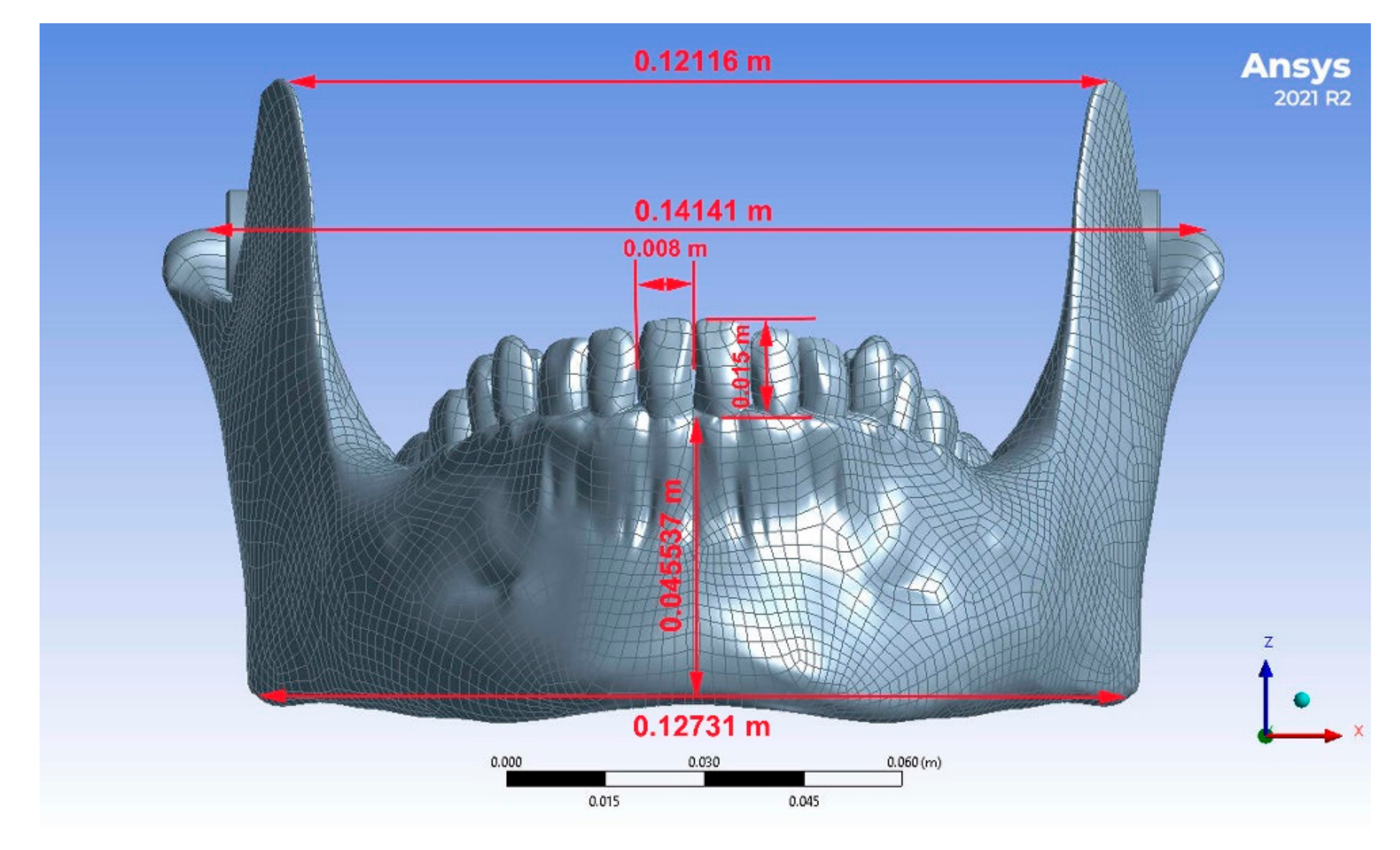 Oral 02 00021 g001 550
