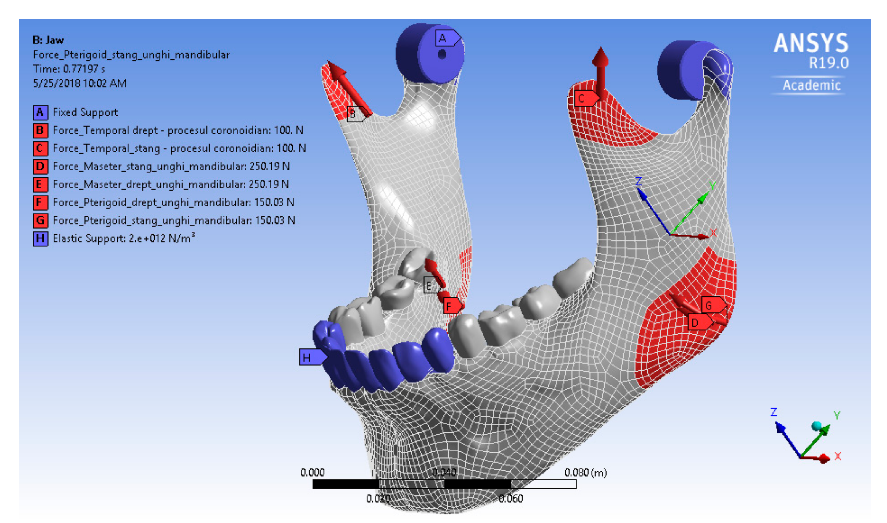 Oral 02 00021 g003 550