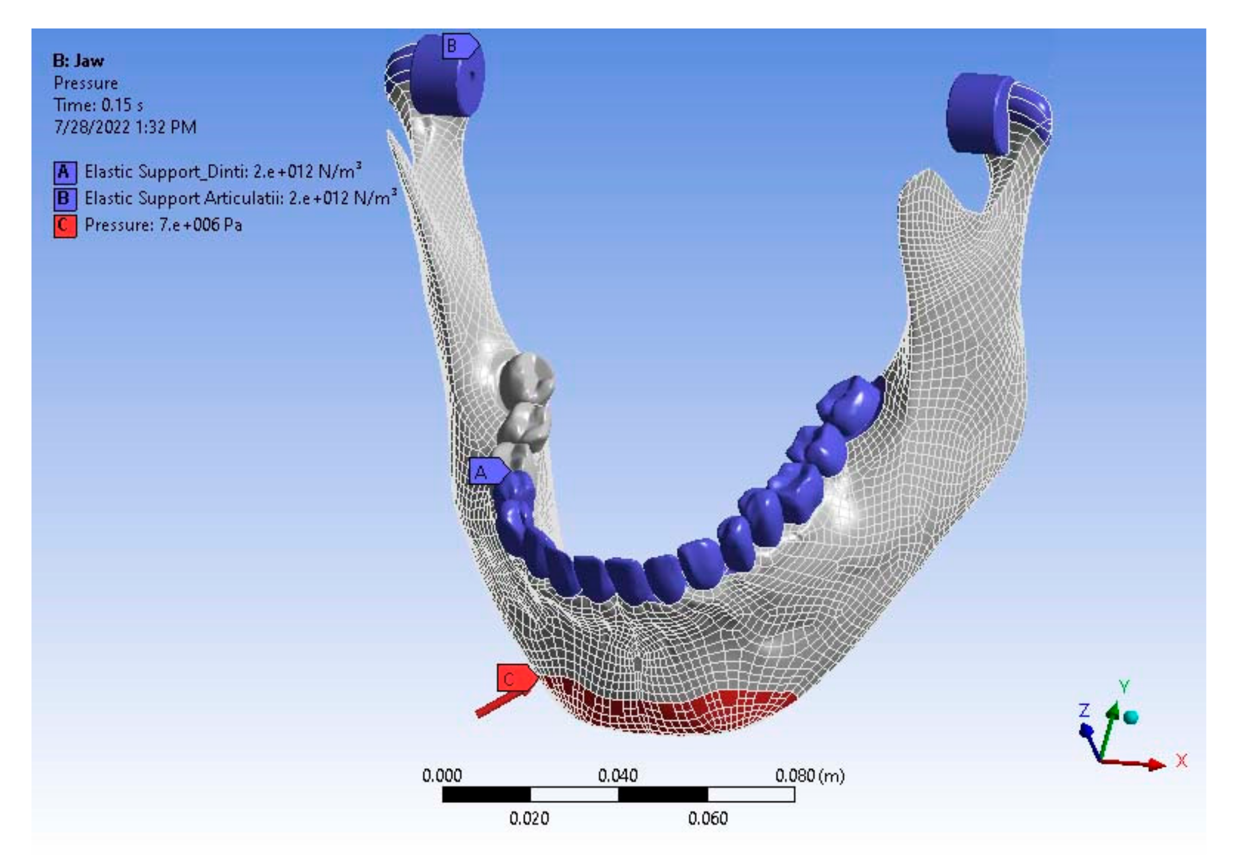 Oral 02 00021 g004 550