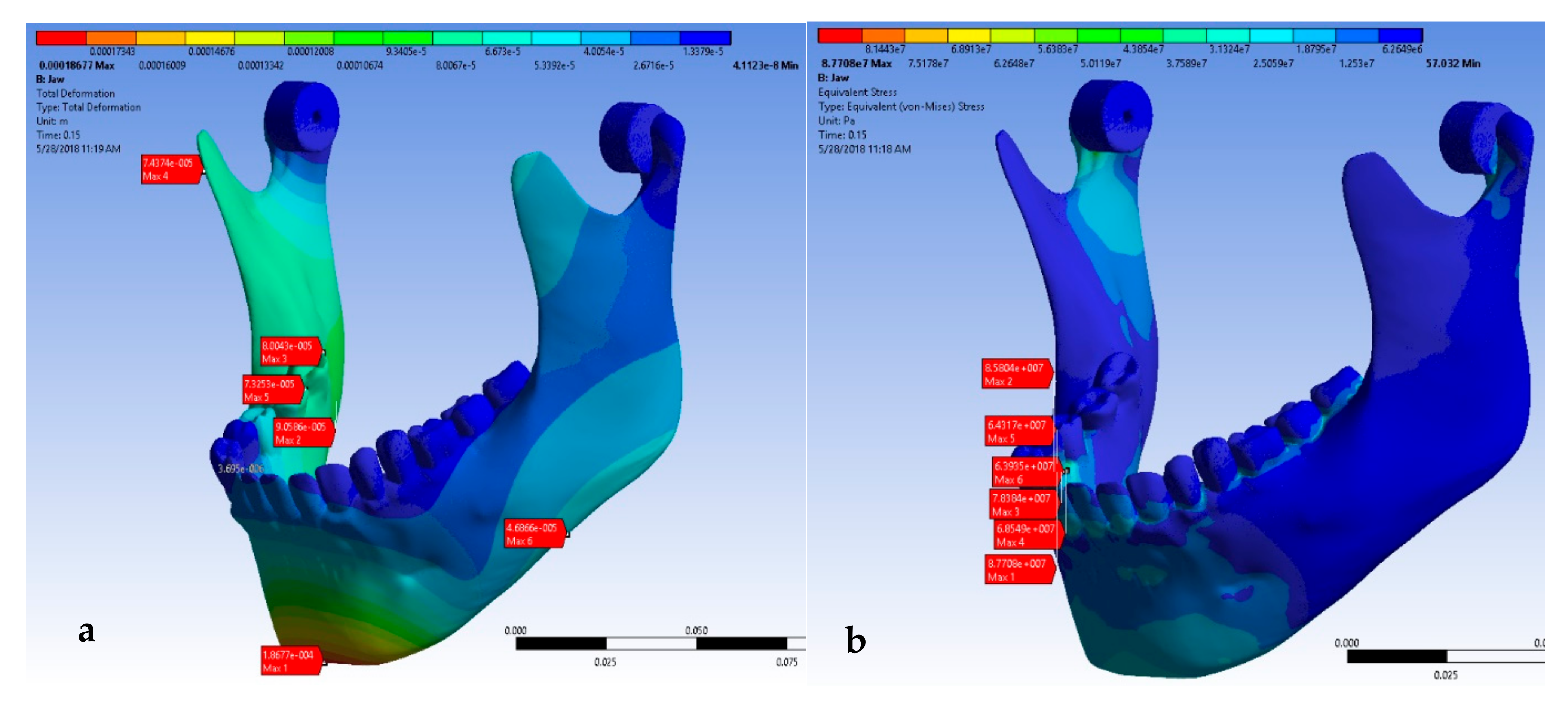 Oral 02 00021 g007 550