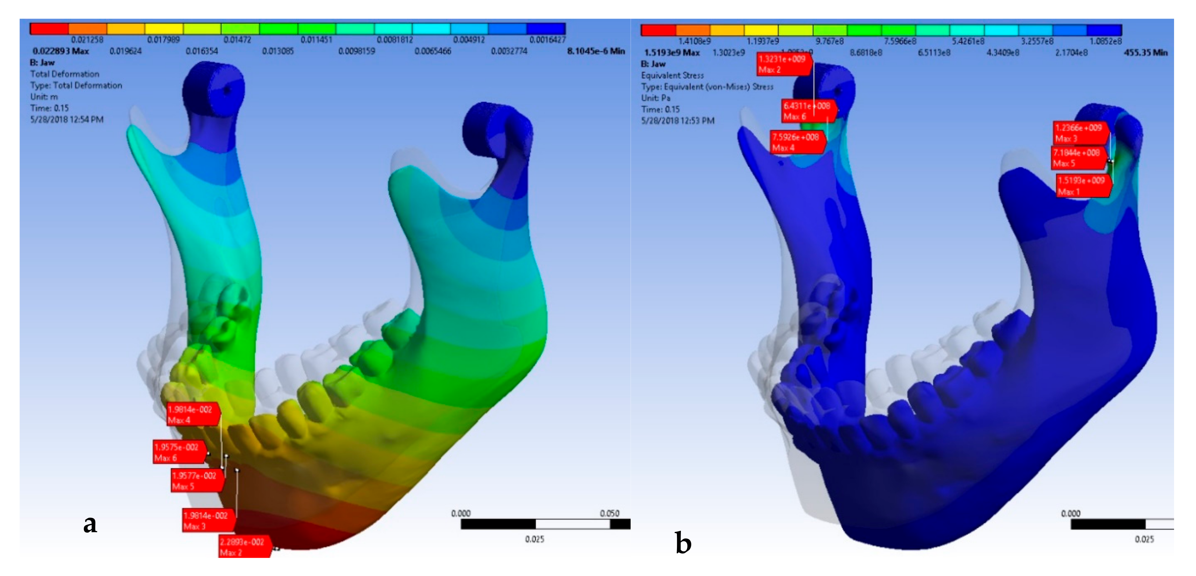 Oral 02 00021 g008 550