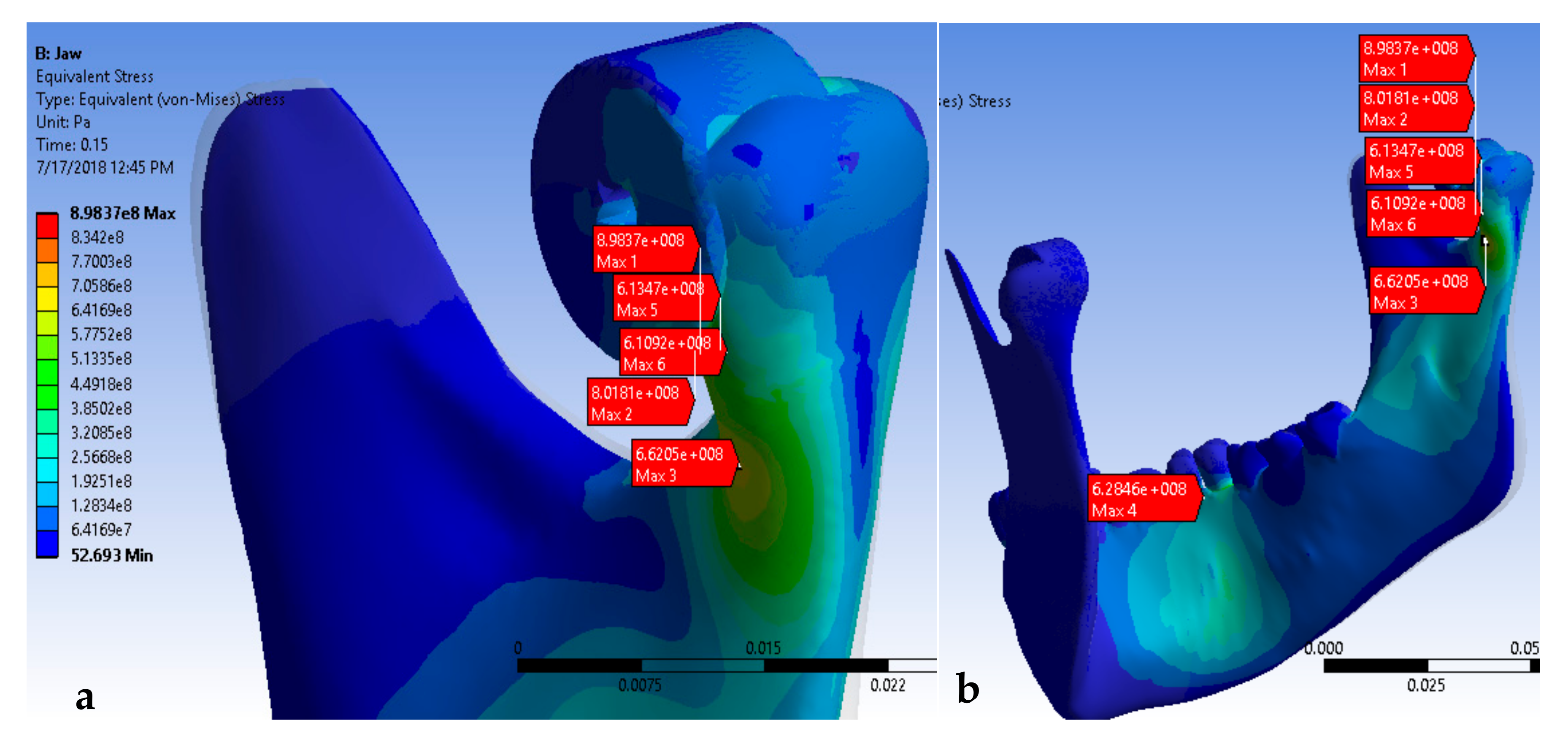Oral 02 00021 g010 550