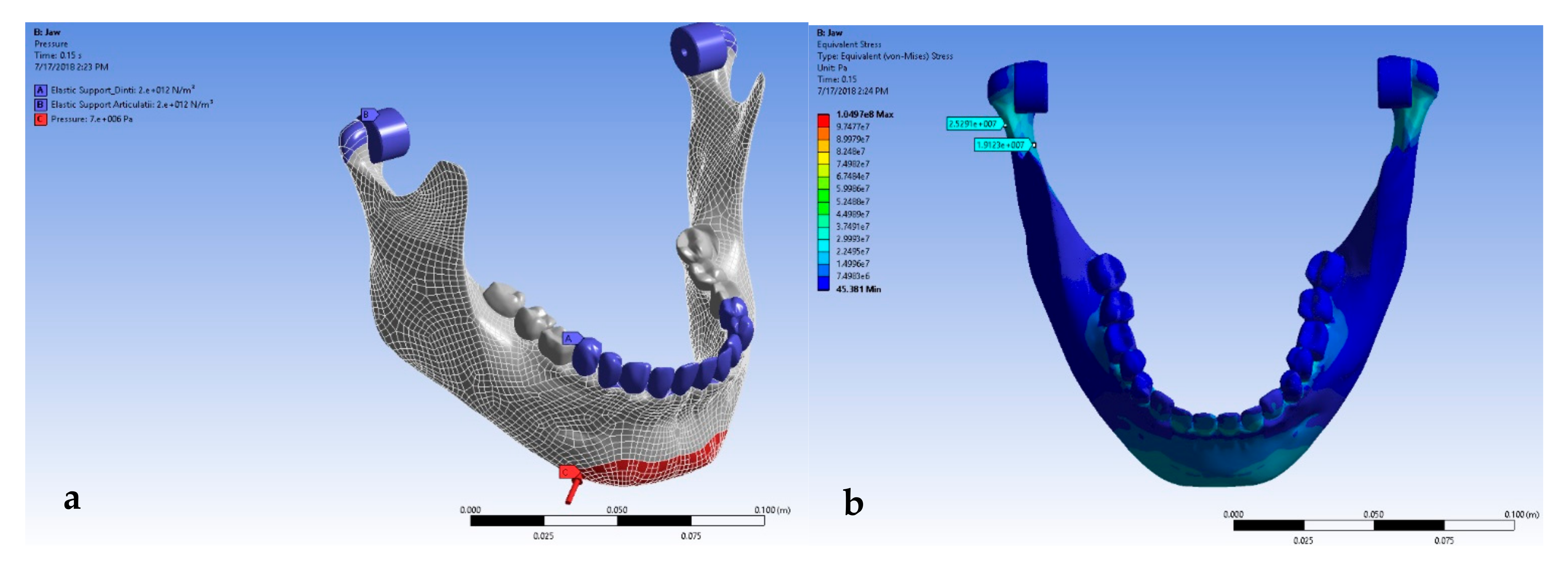 Oral 02 00021 g012 550