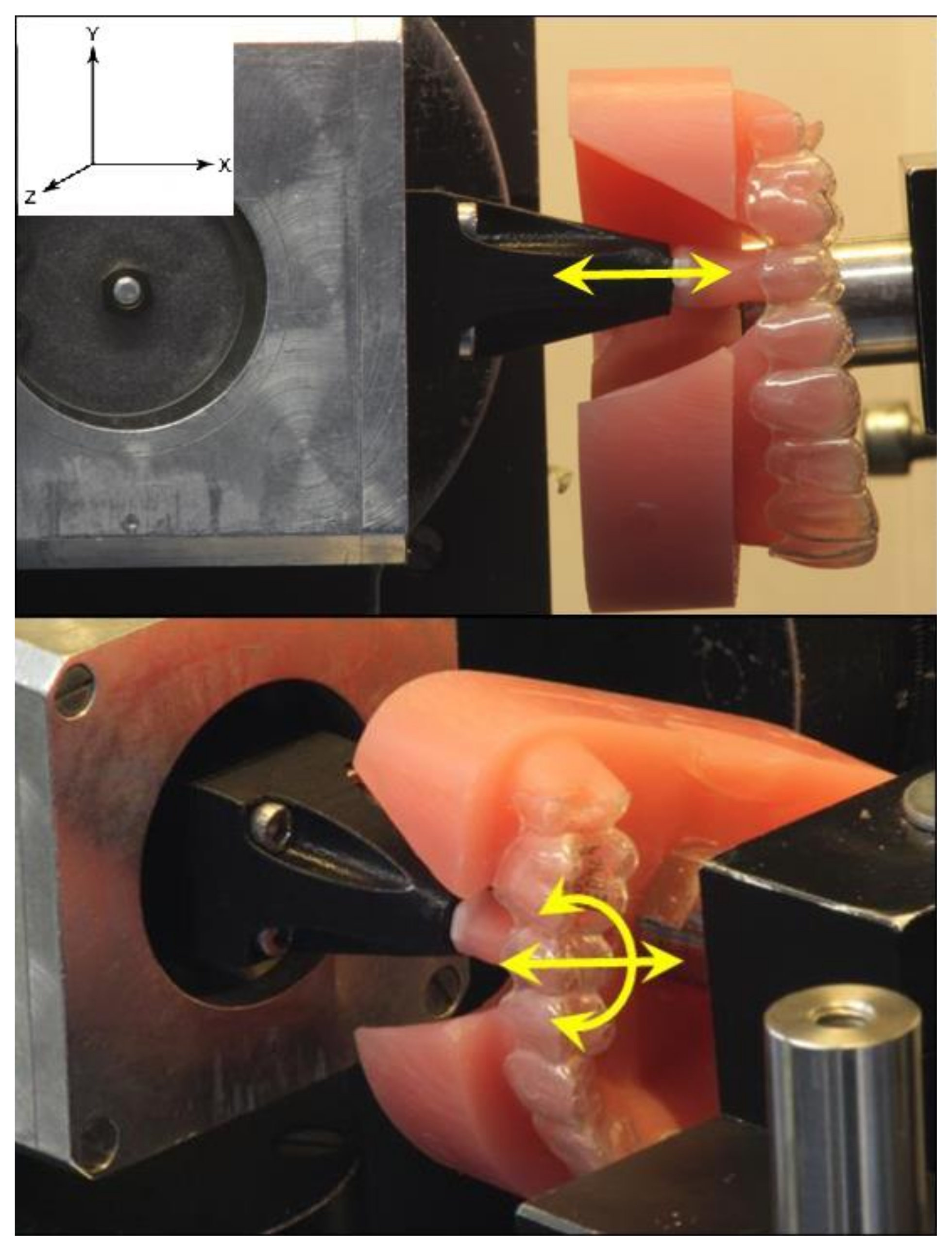 Oral 03 00007 g001 Oral 03 00007 g001