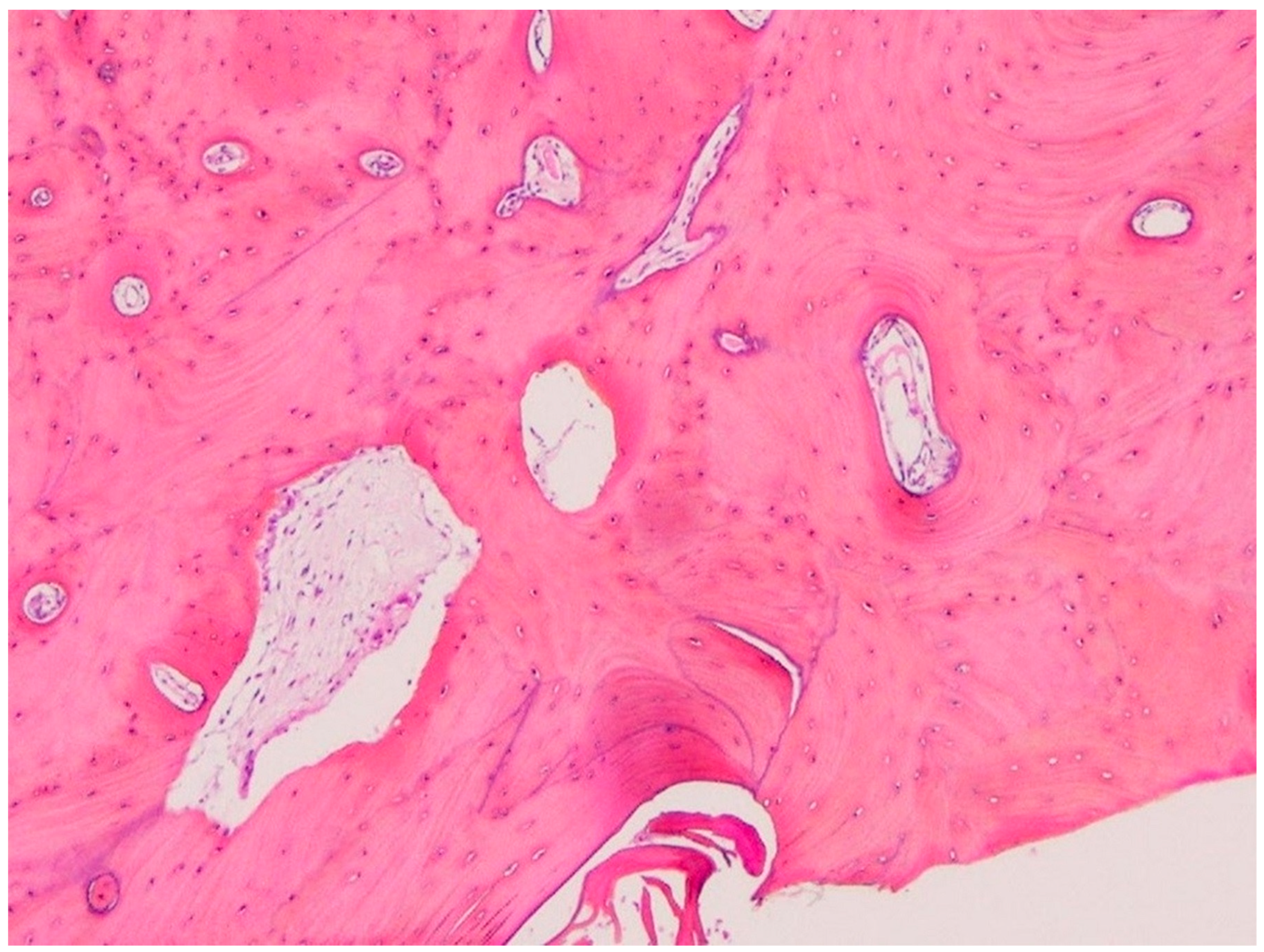 Oral 03 00046 g003 Oral 03 00046 g003